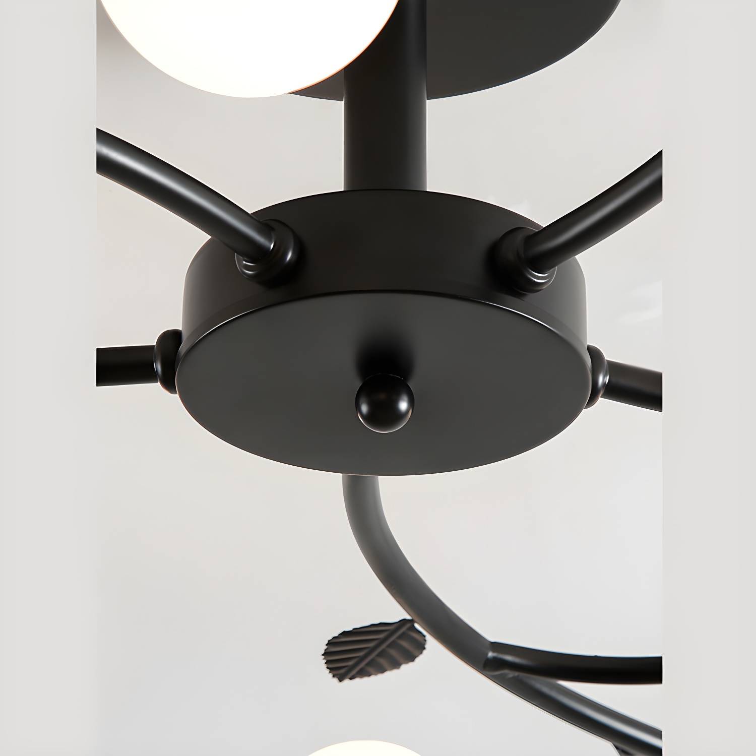 Imported image 19b49195aa75 2905058.jpg