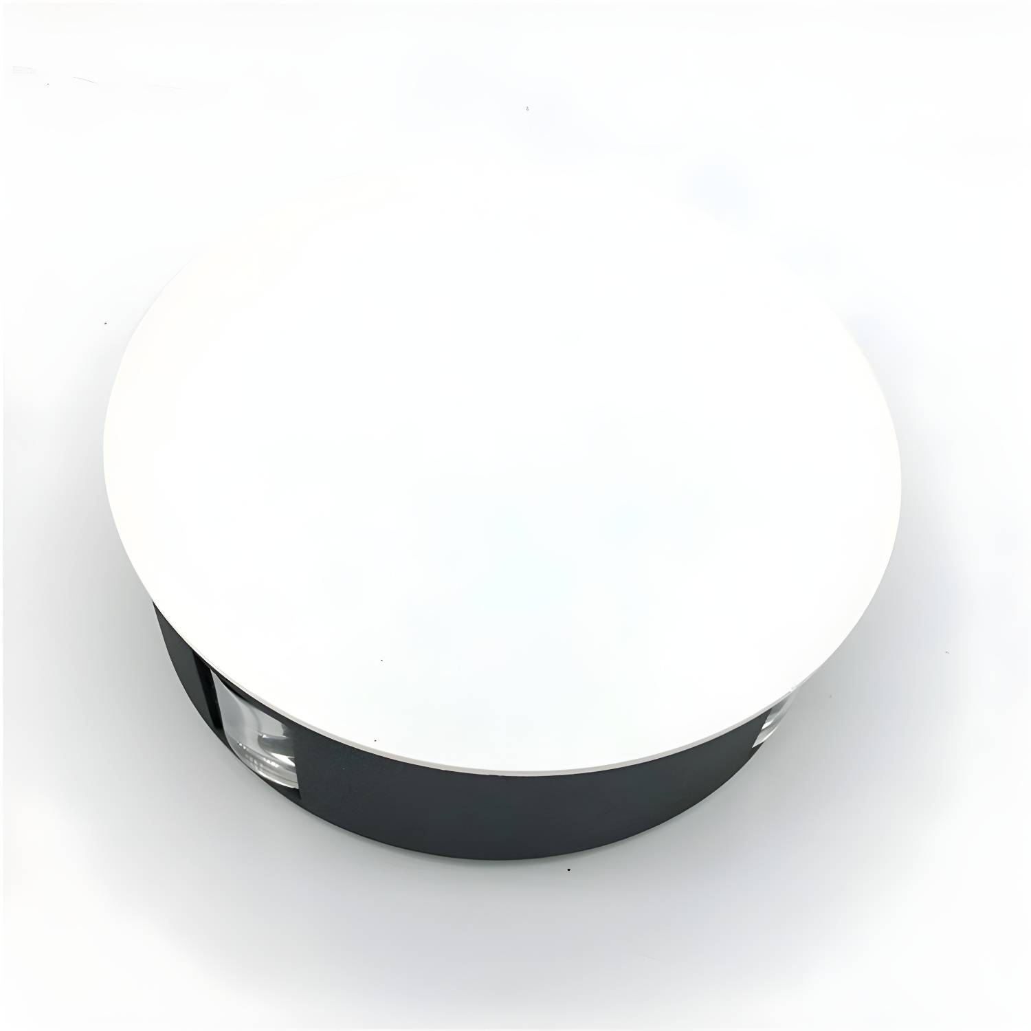 Imported image 2d6ded66c83a 2905501.jpg