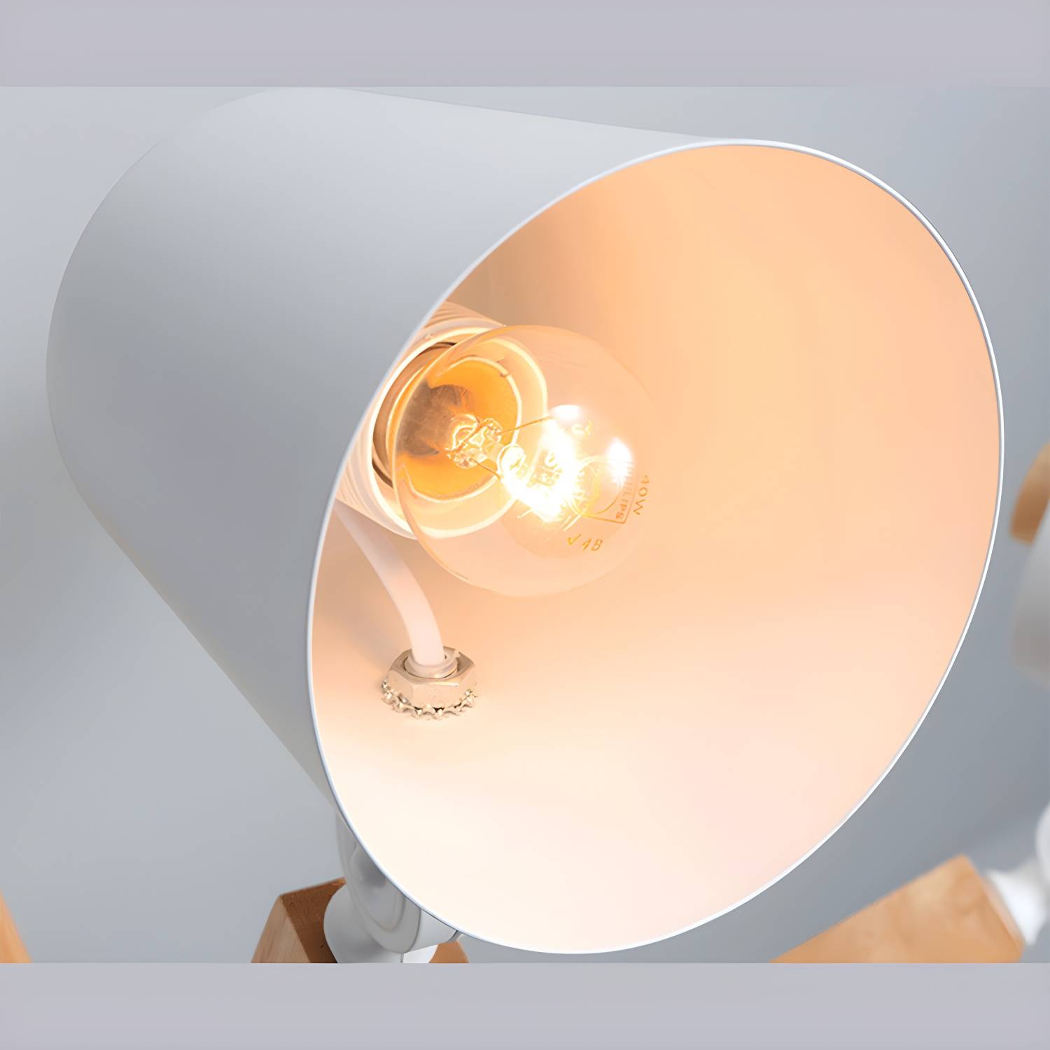 Imported image 6122c1352b06 2913011.jpg