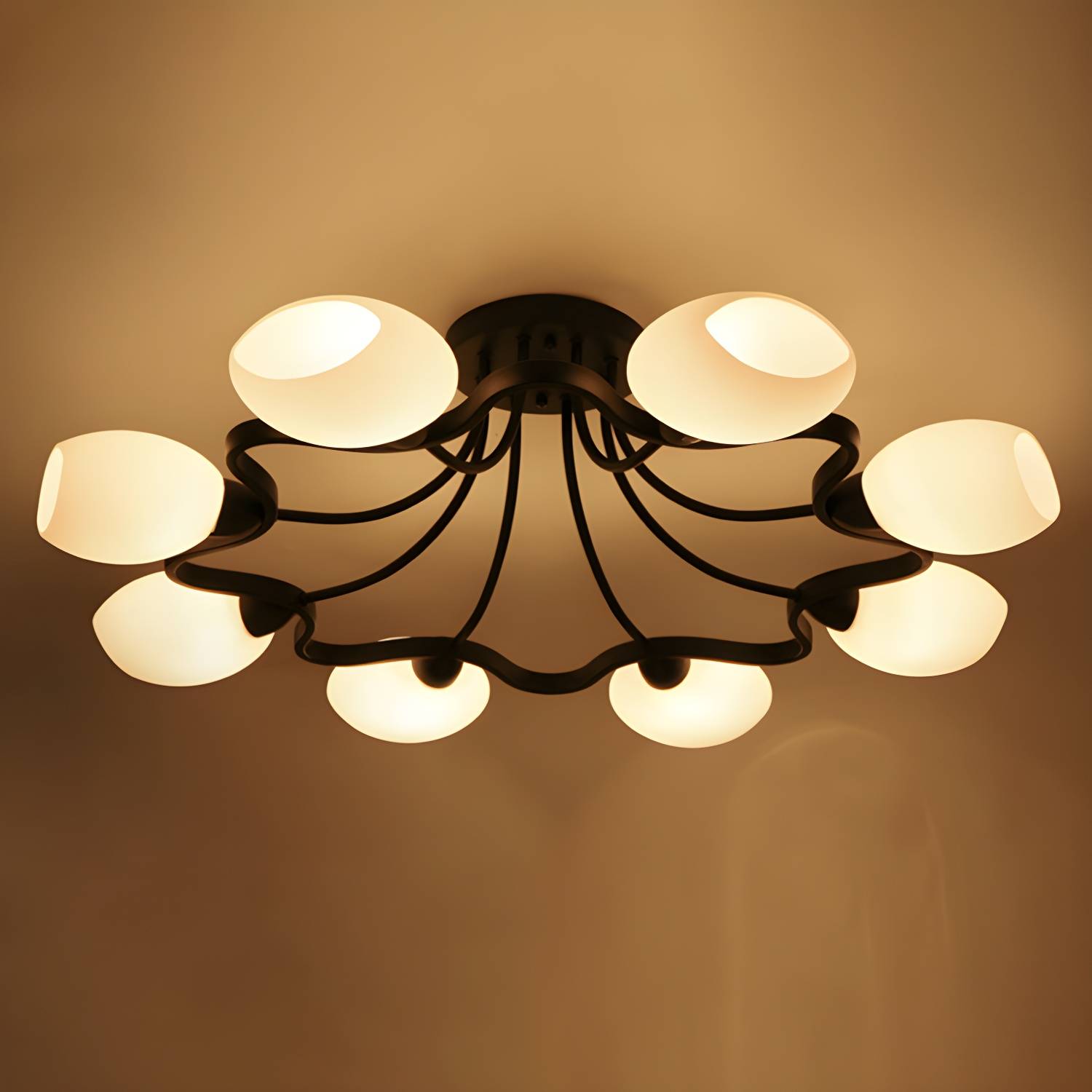 Imported image c55bfa93fdf3 2927994.jpg