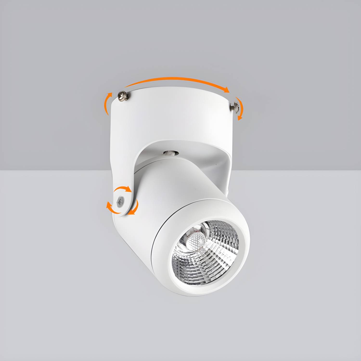 Imported image d3c847738076 2934207.jpg