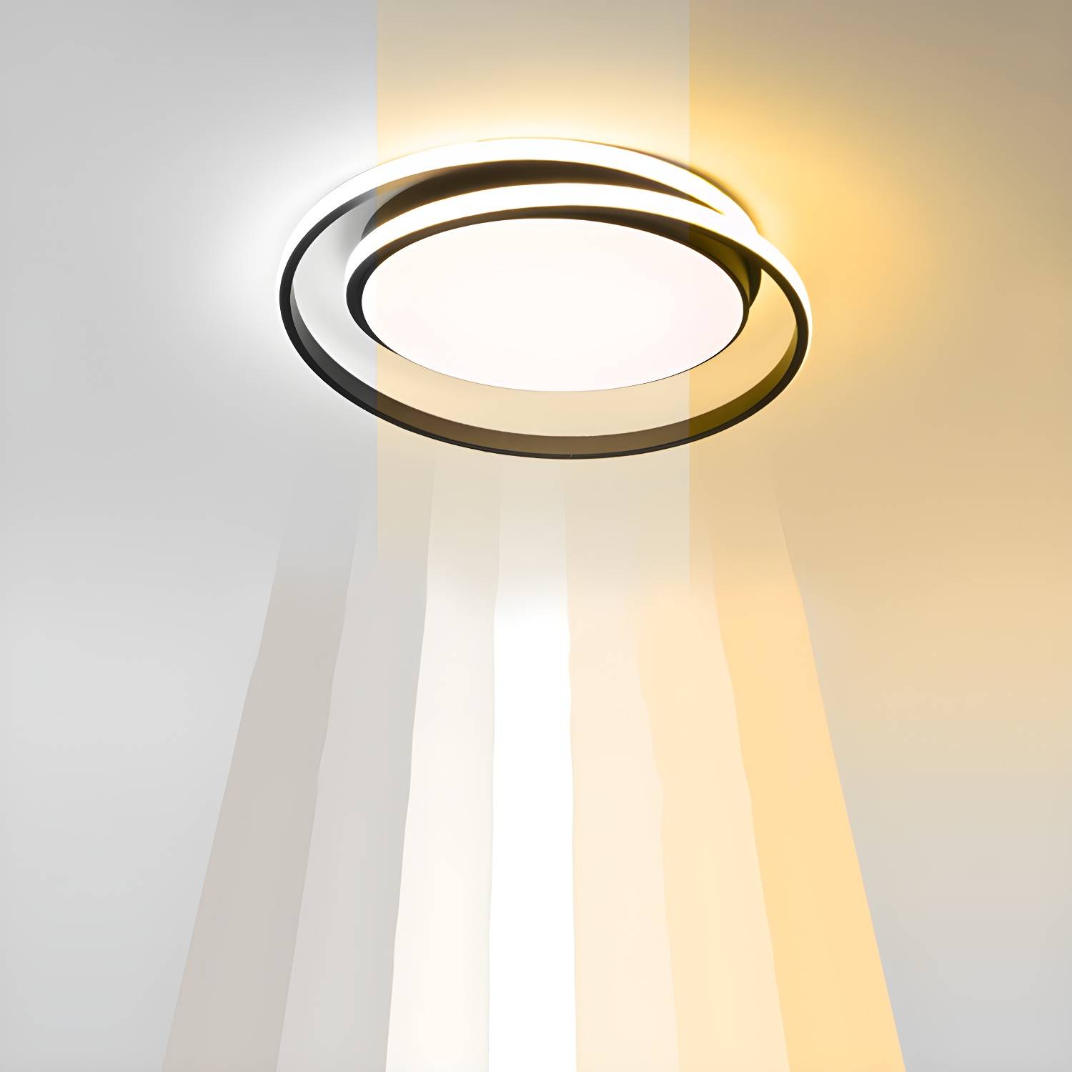Imported image c0e8c5913d13 2934409.jpg