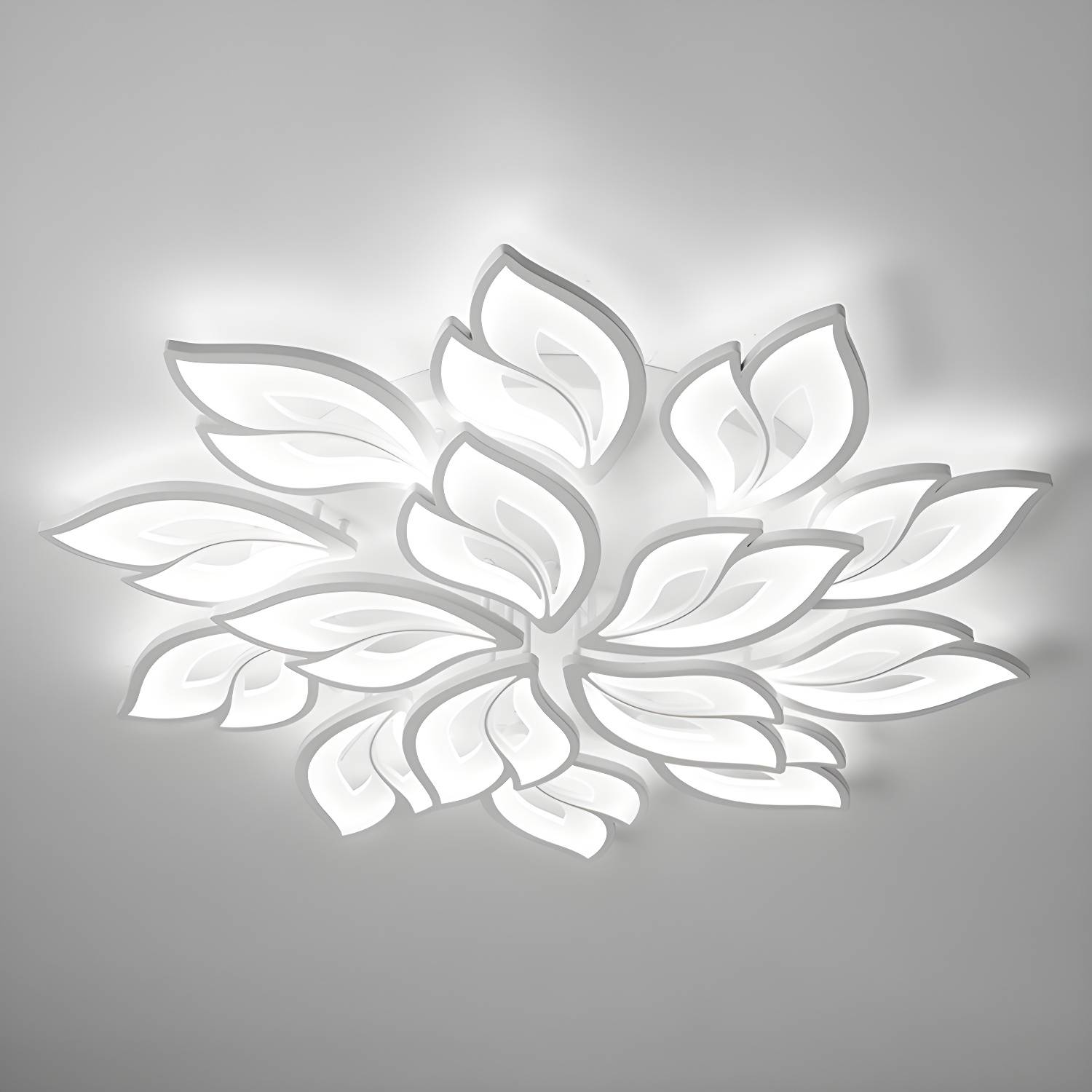 Imported image 03ac26749a74 2936118.jpg