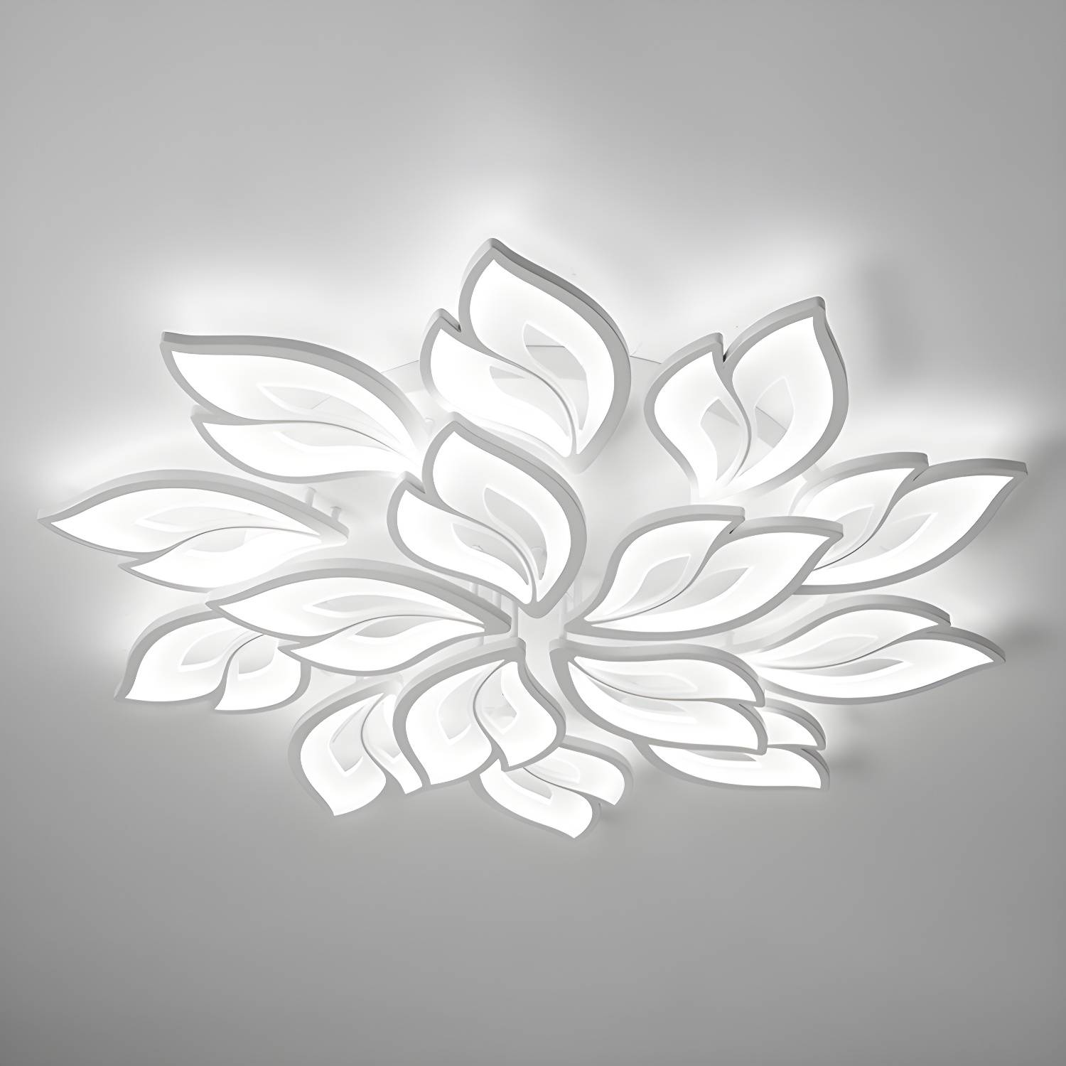 Imported image ee11e880b237 2936425.jpg