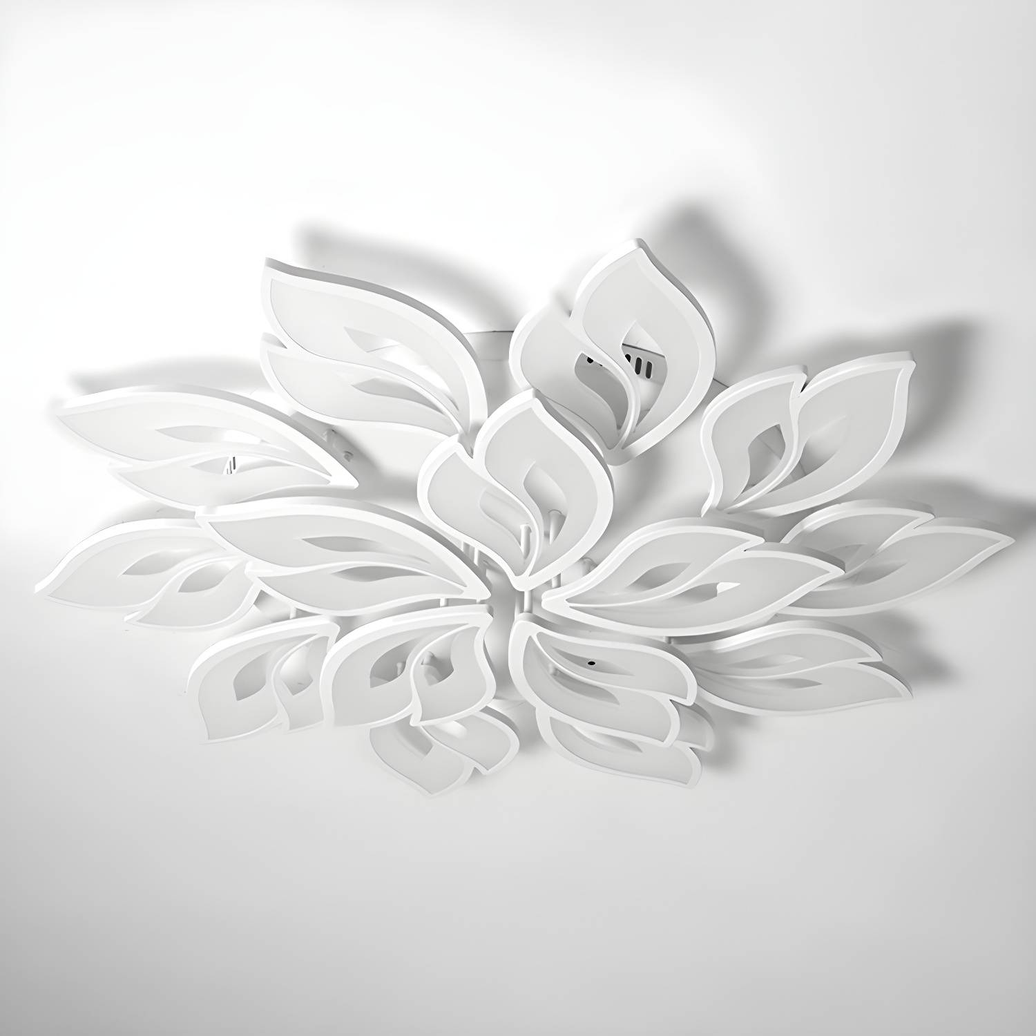 Imported image cceaa50889ff 2936426.jpg