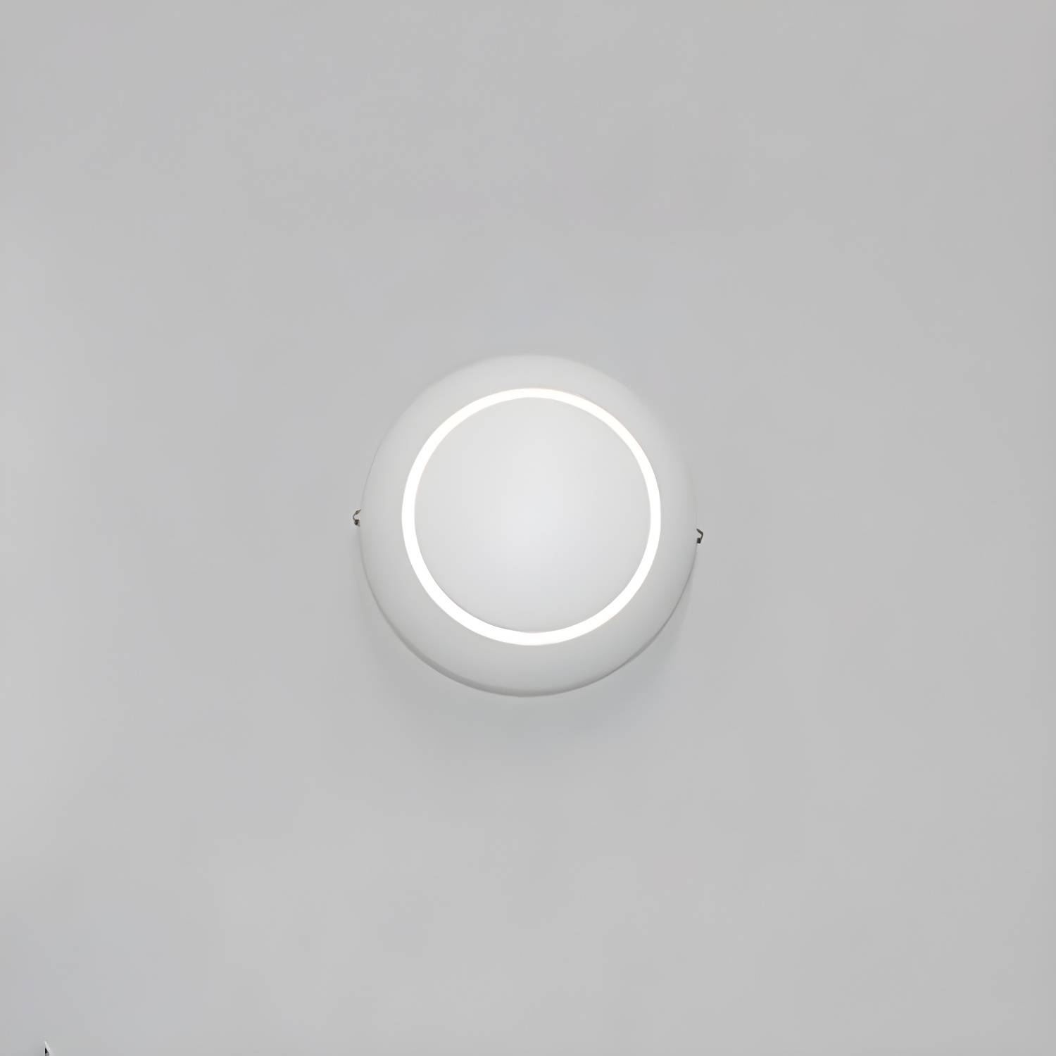 Imported image 1827e9c87407 2939209.jpg