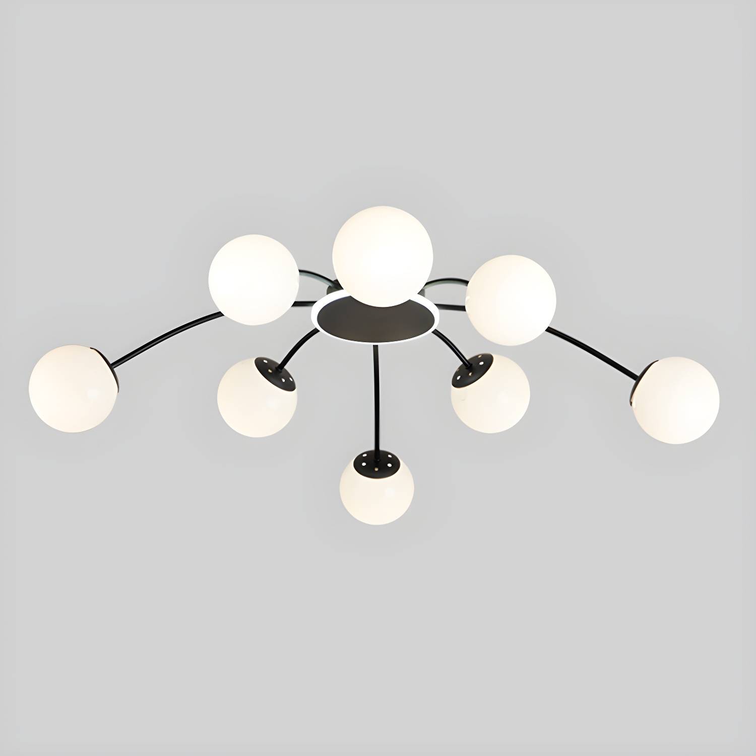Imported image 519f8aa82880 2939967.jpg