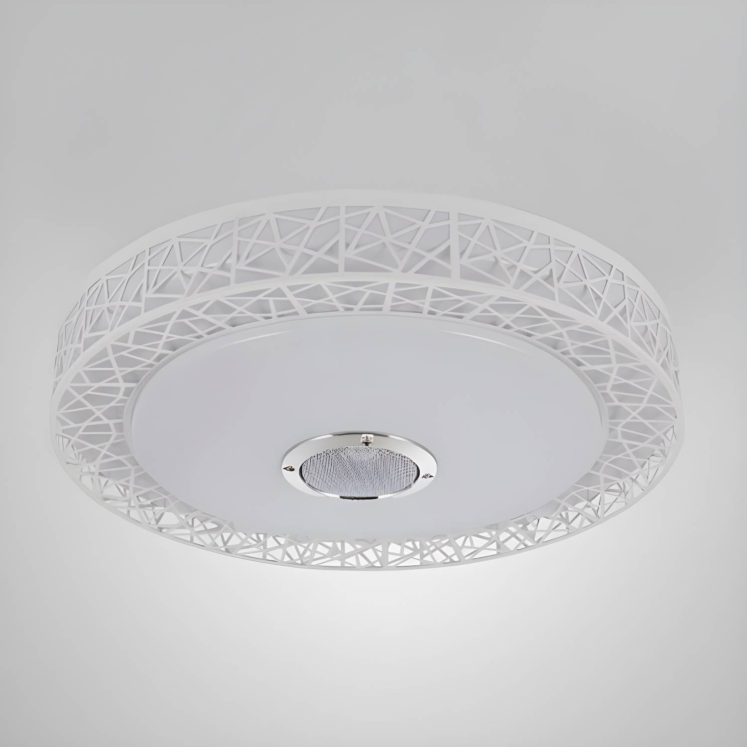 Imported image 9cb8ddbe6e16 2957501.jpg