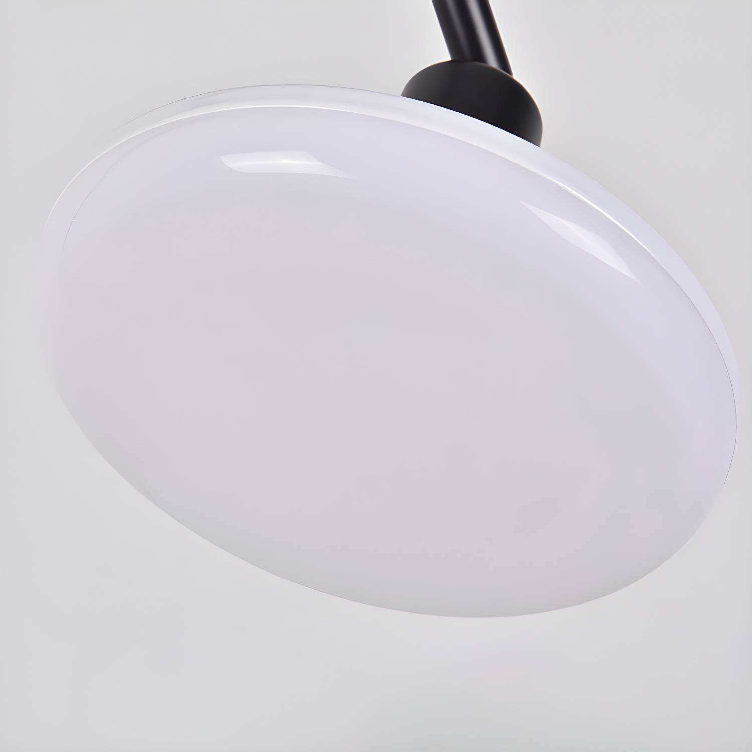 Imported image 33a23ac3412b 2958868.jpg