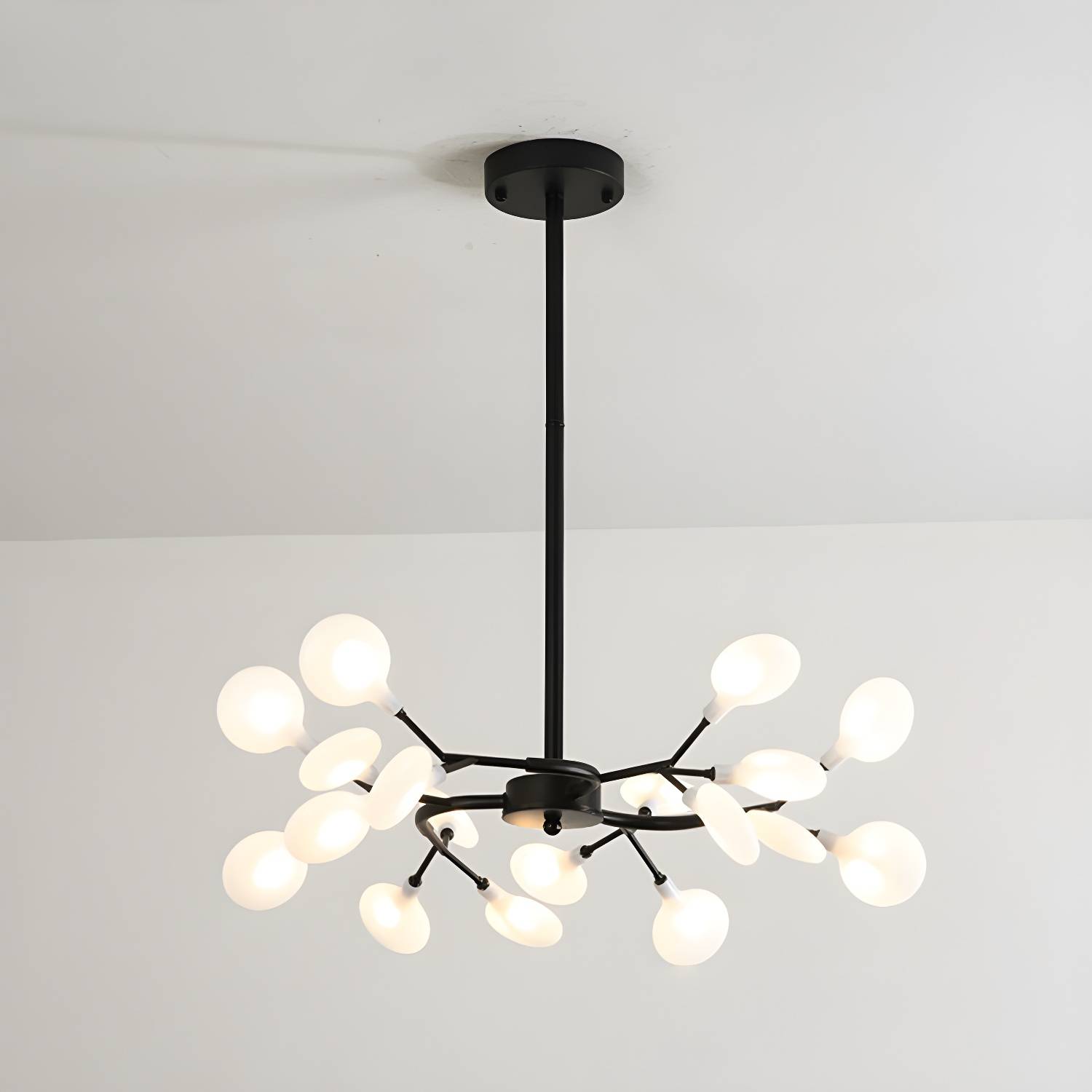 Imported image 9162ff3d194b 2962264.jpg