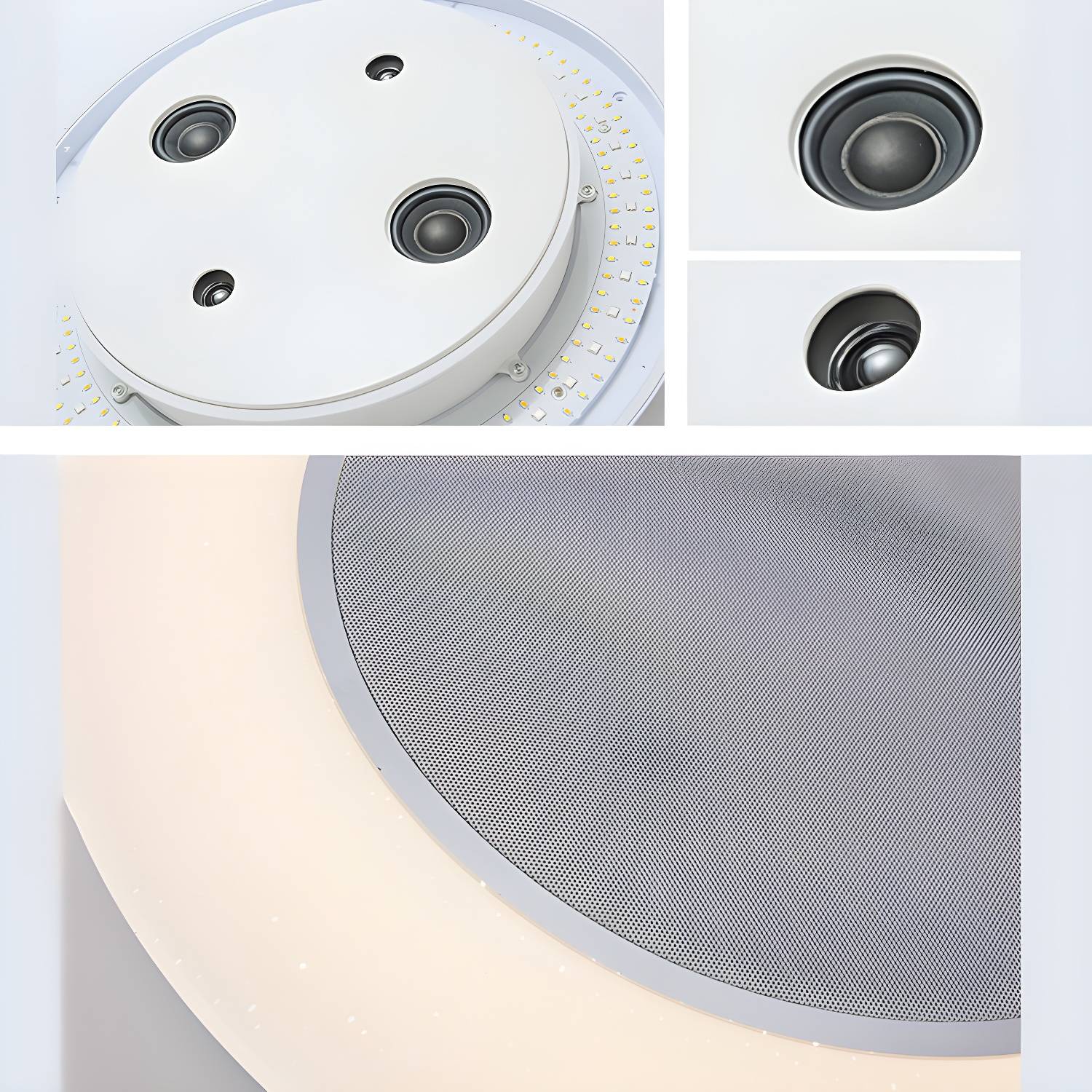 Imported image efac66e9265b 2962453.jpg