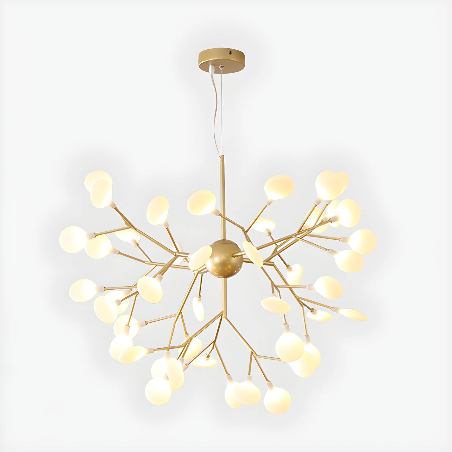 Imported image 5a3acf00abd6 2963064.jpg