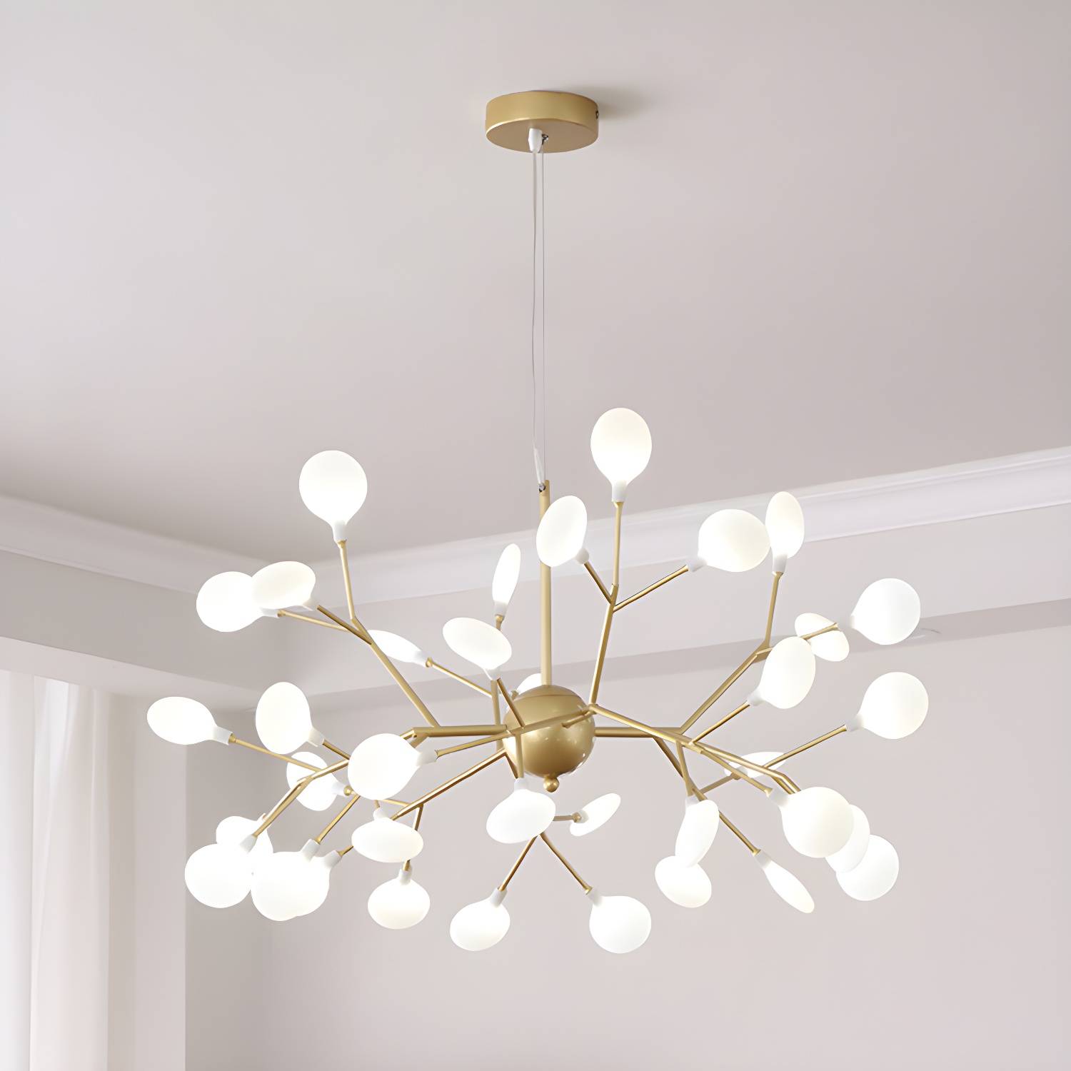 Imported image 9eb5c42bd70d 2963069.jpg