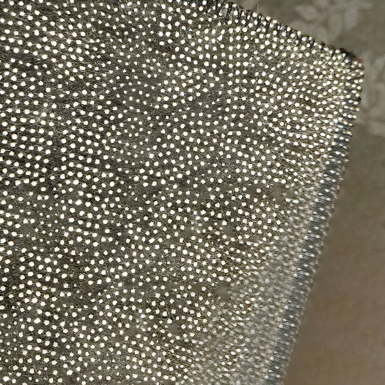 Imported image 9a8a5990d48a 2963861.jpg