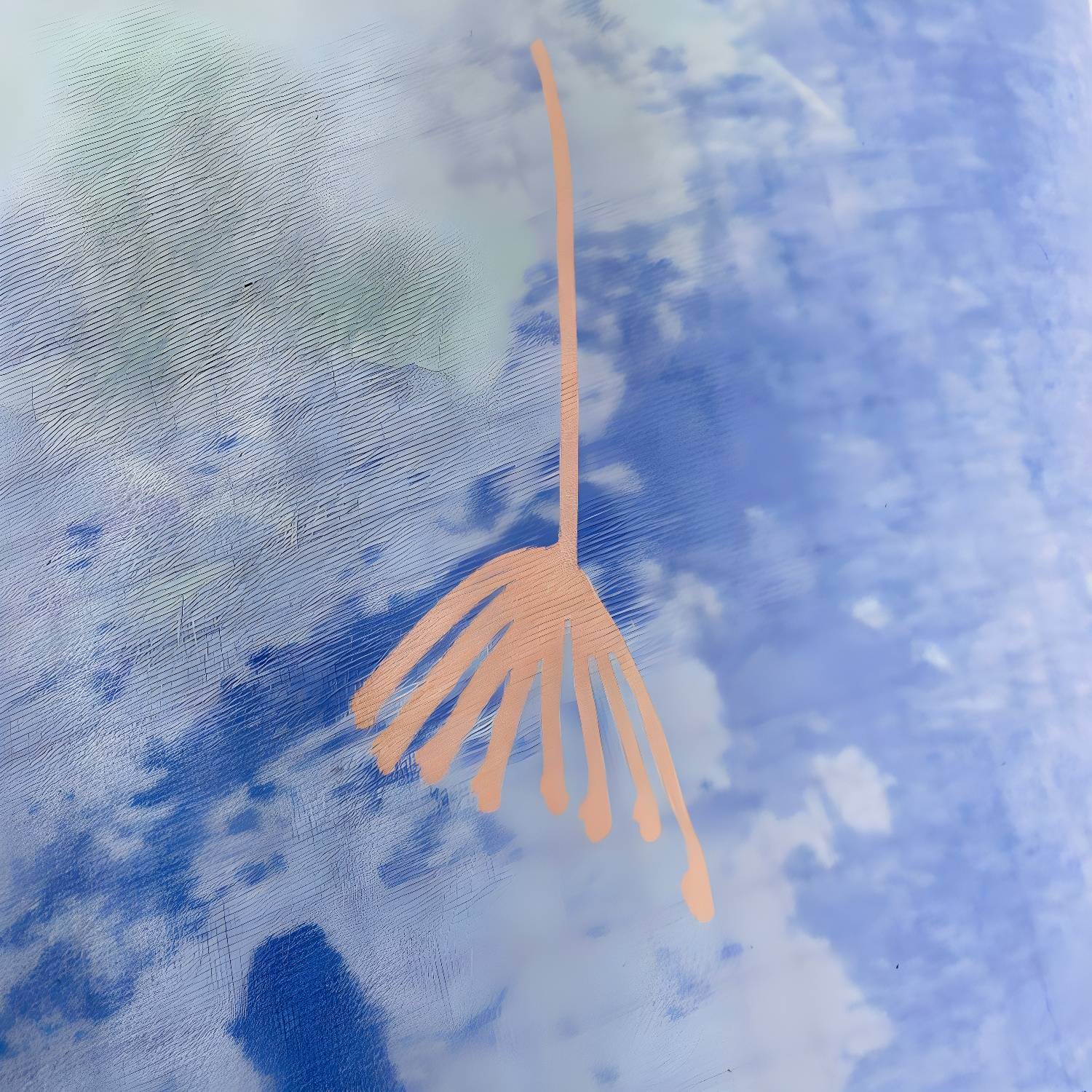 Imported image f35837d01534 2964085.jpg