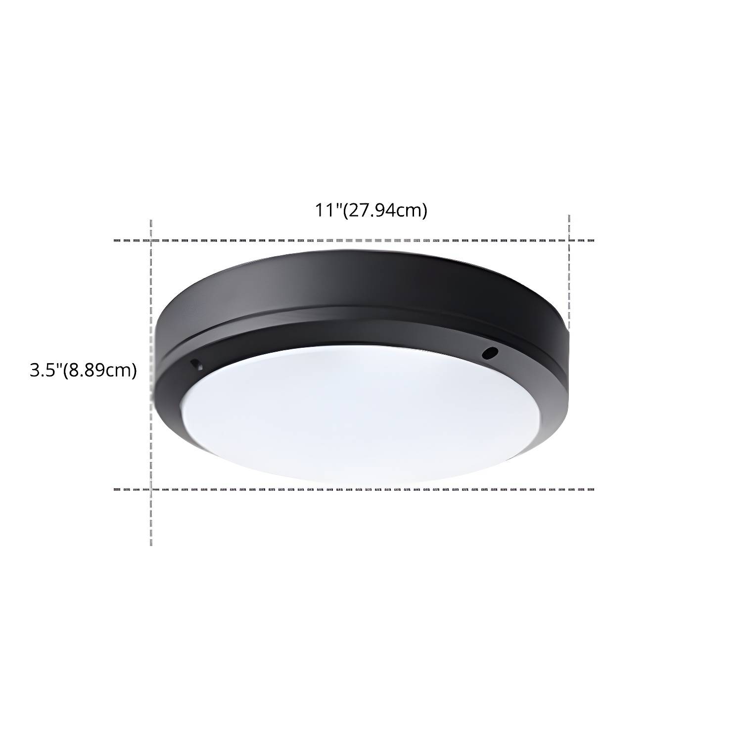 Imported image ebf979e58e64 2964555.jpg