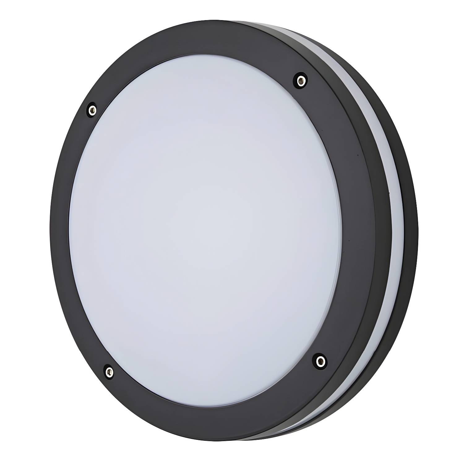 Imported image 4a8cf6e7bdd9 2964557.jpg