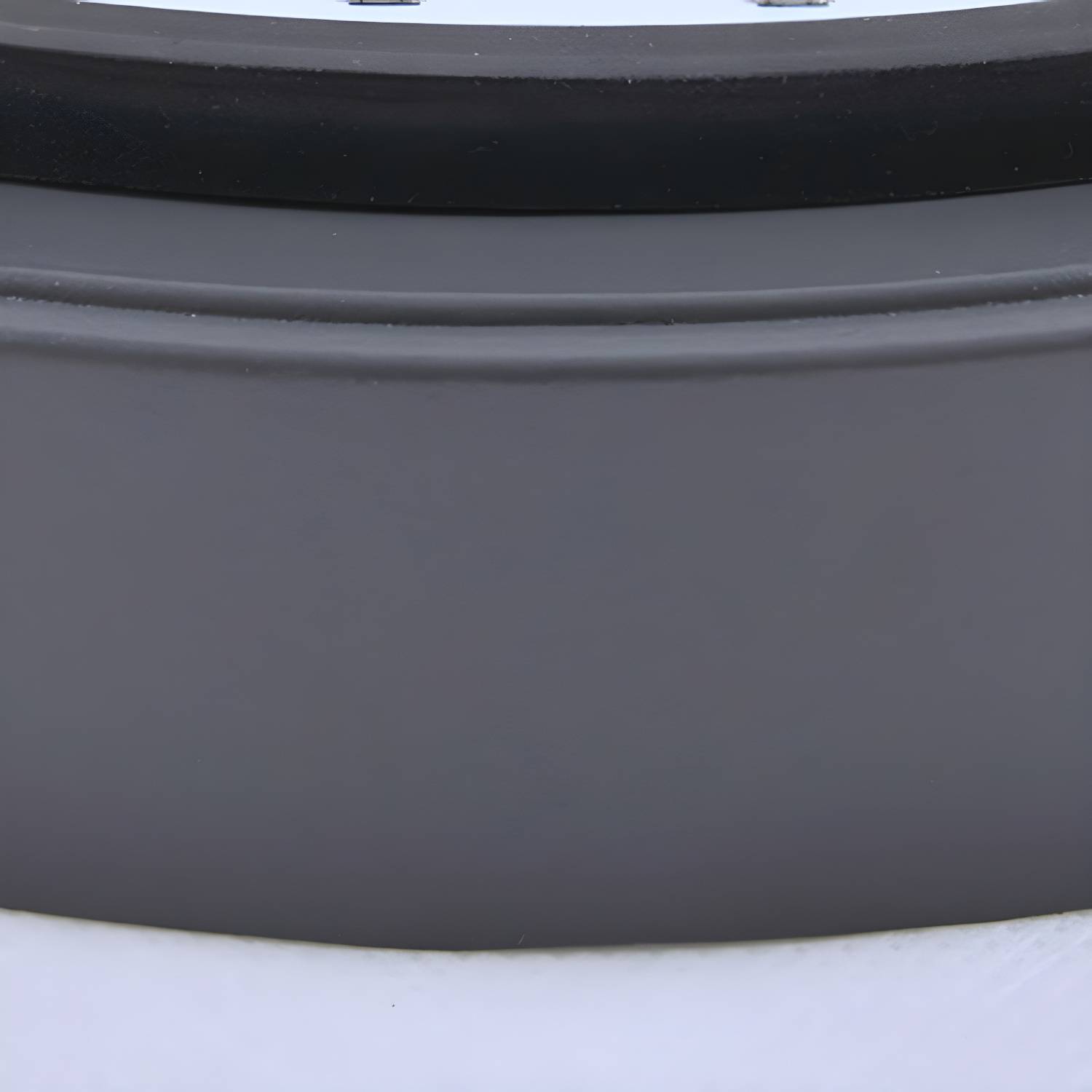 Imported image e99b99600c85 2964558.jpg