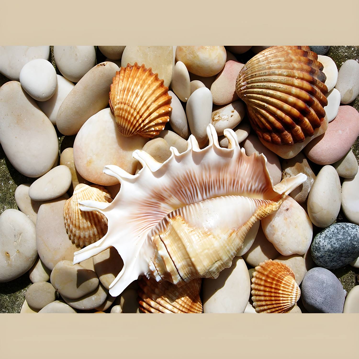 Imported image 552dfd2b5e51 2967745.jpg
