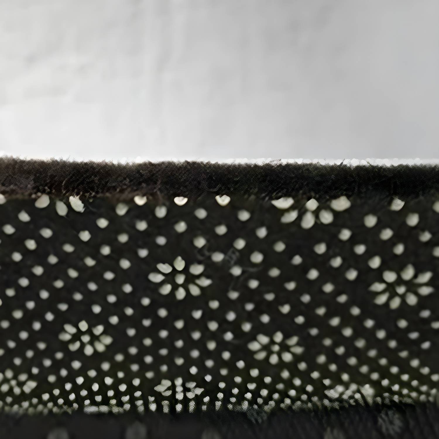 Imported image 500b6bee72d0 2967910.jpg