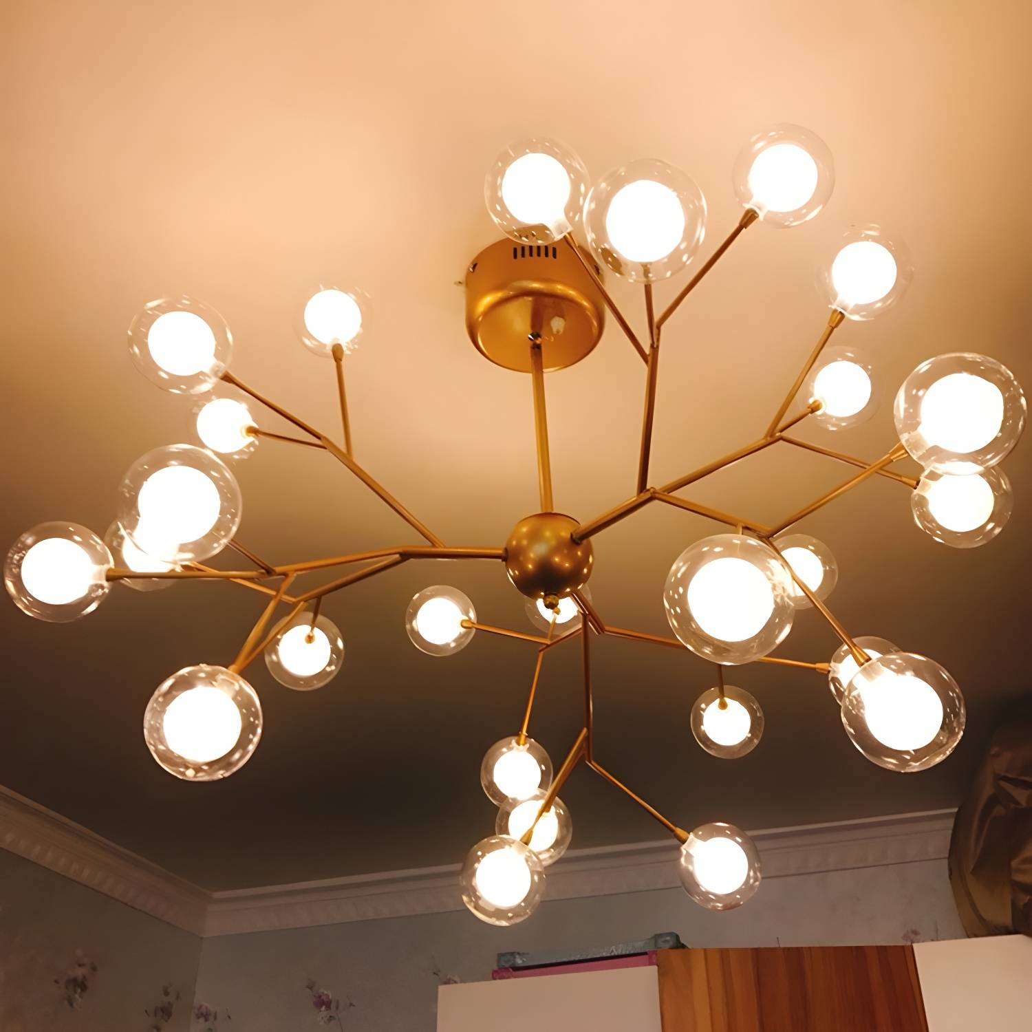 Imported image c347510ffe65 2970256.jpg