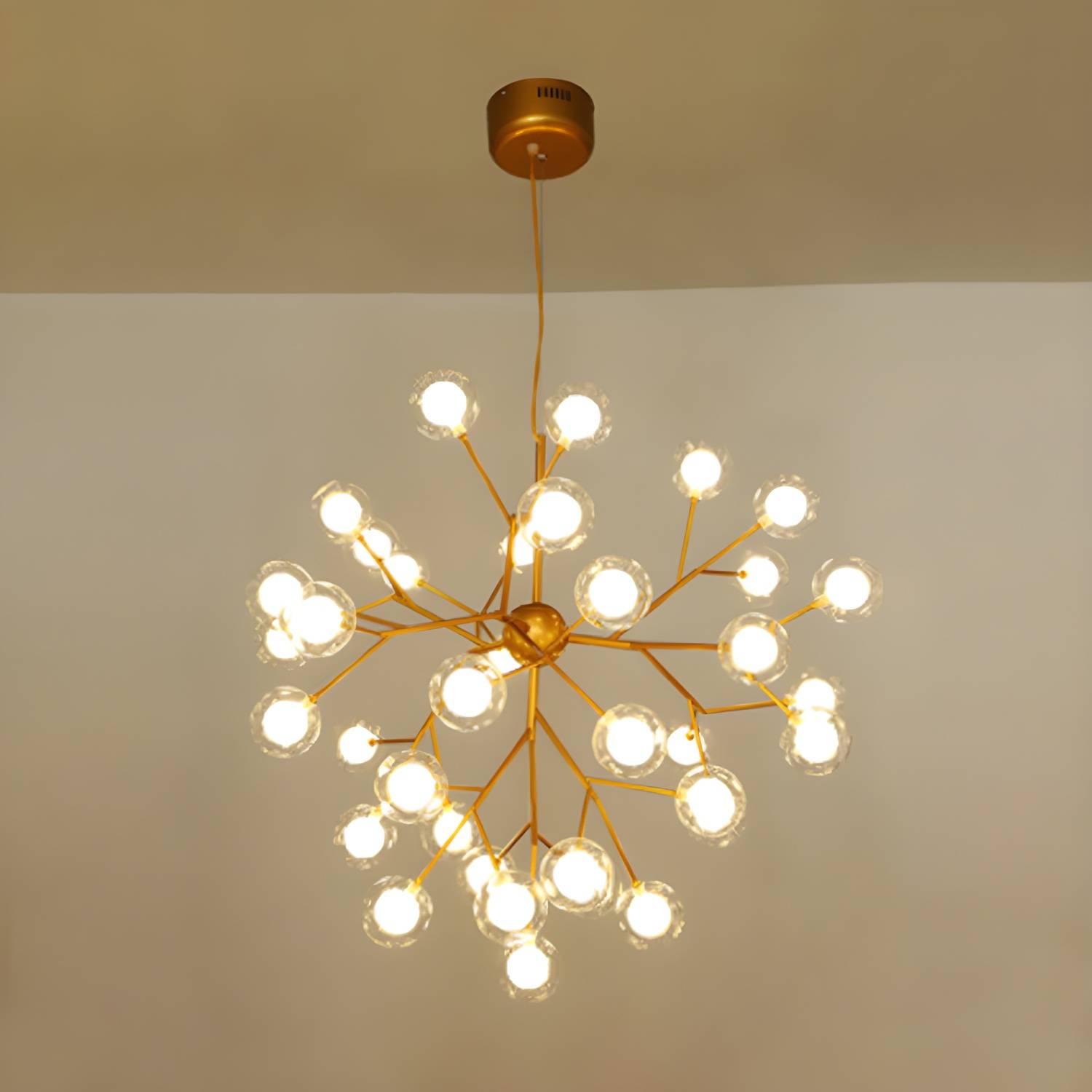 Imported image 46c52650f524 2970262.jpg