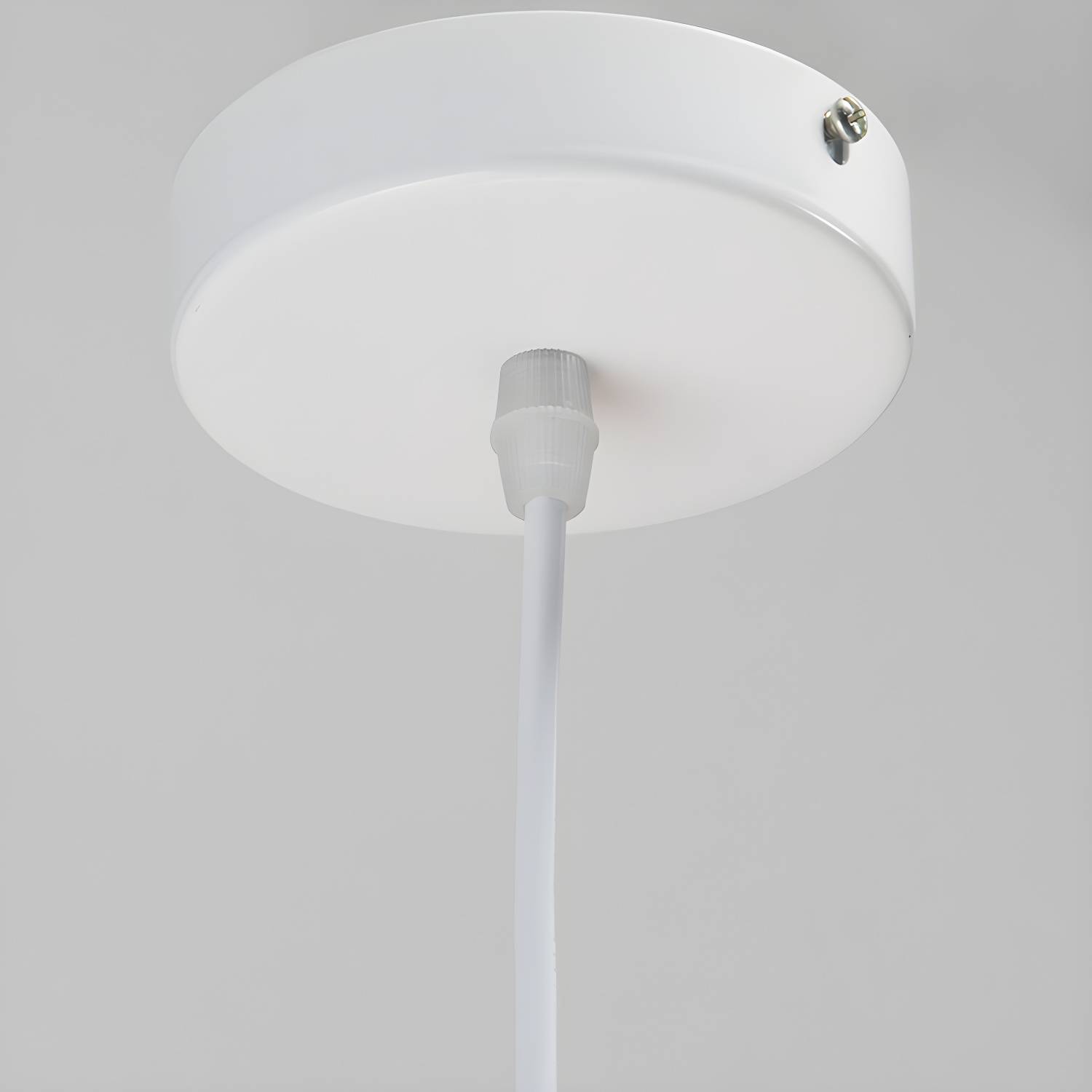 Imported image 85afd9cfe816 2970416.jpg