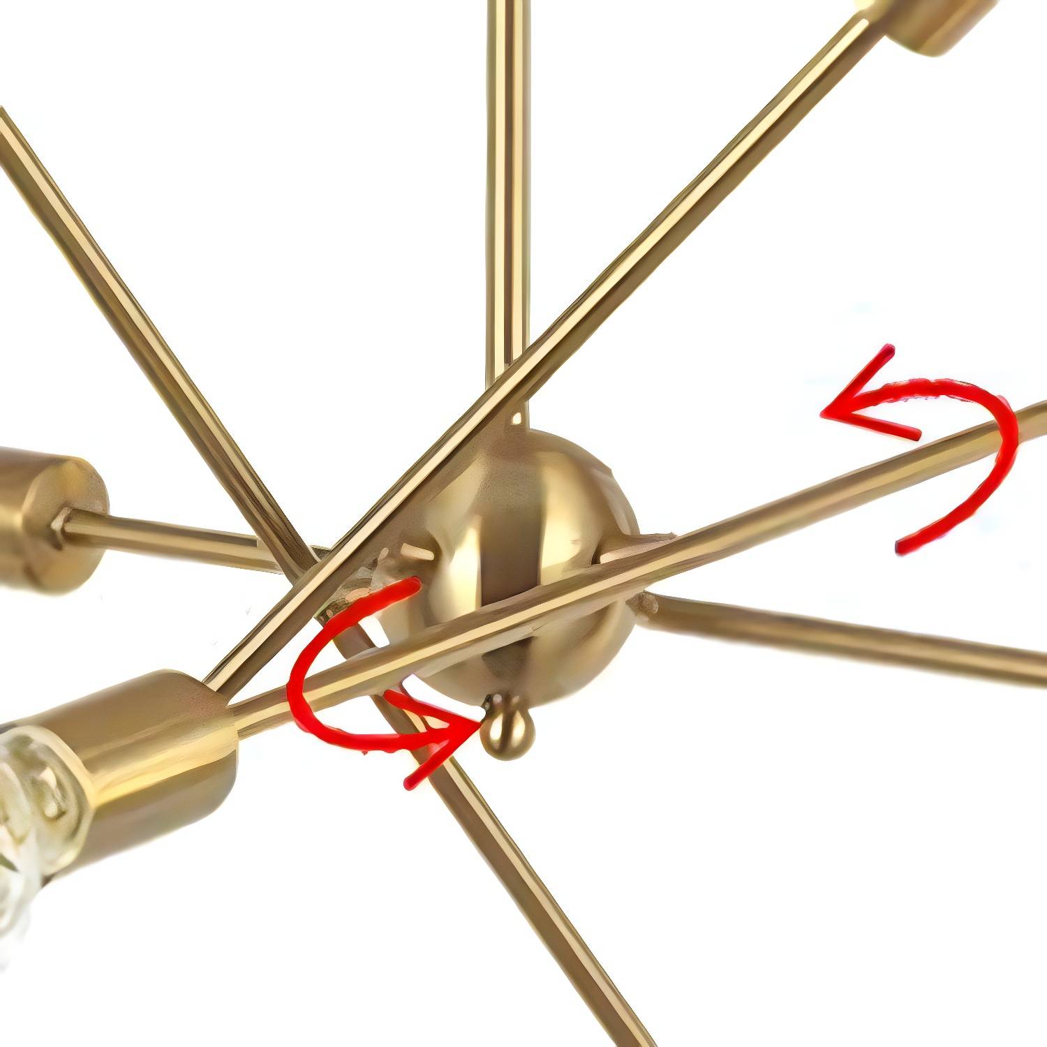 Imported image 907c114d8470 2970855.jpg