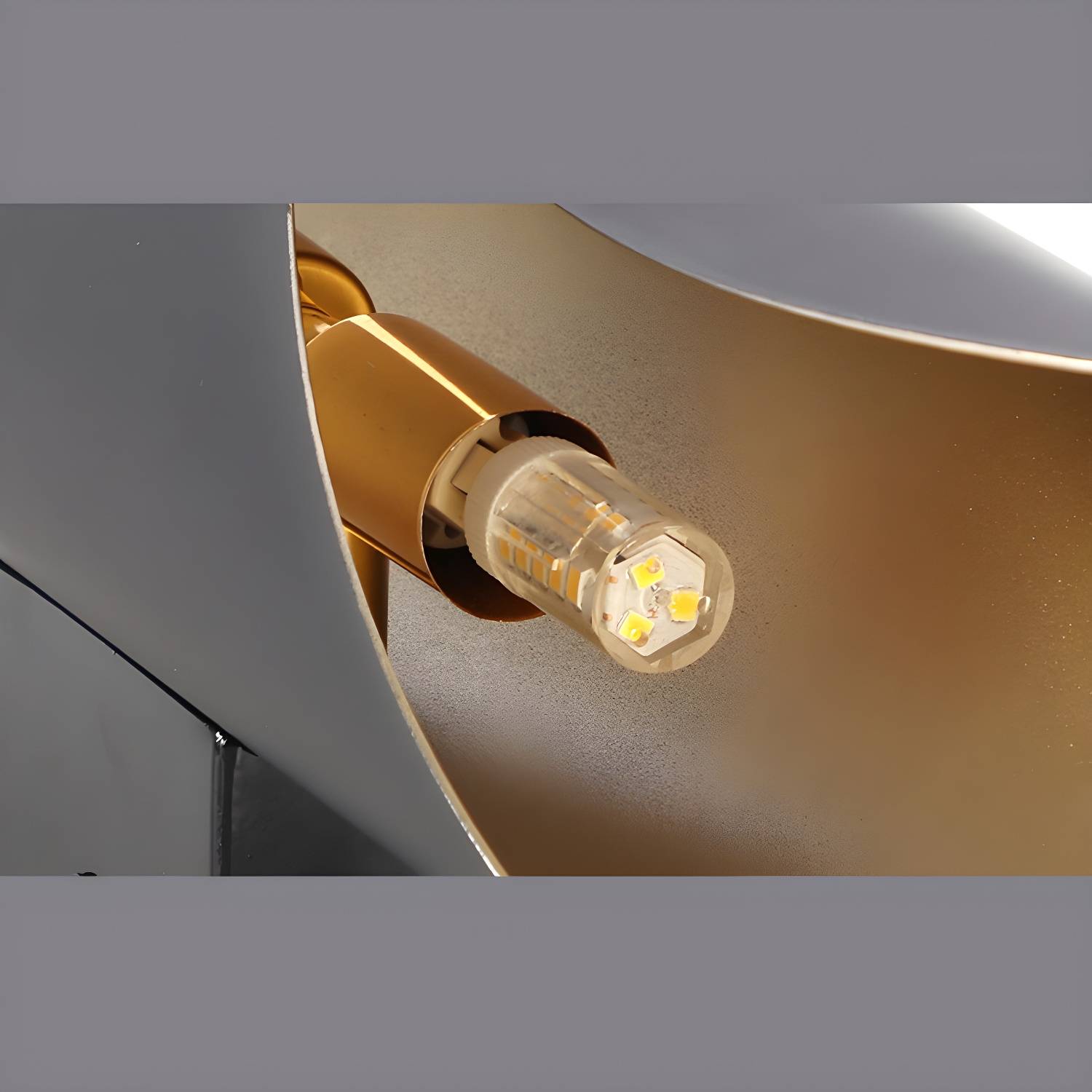 Imported image ad3dc24cee02 2979460.jpg