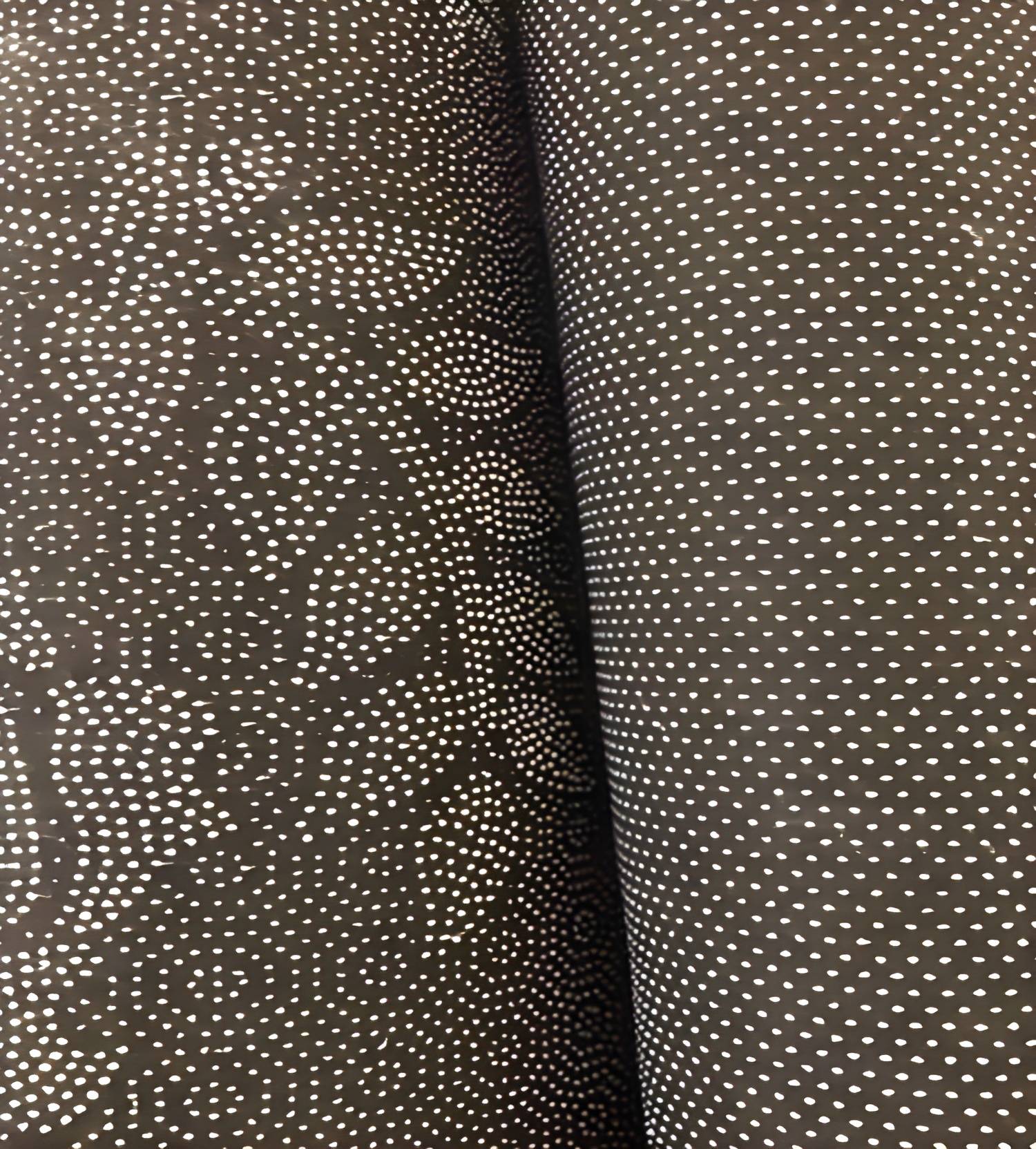 Imported image d84514a50475 2983135.jpg
