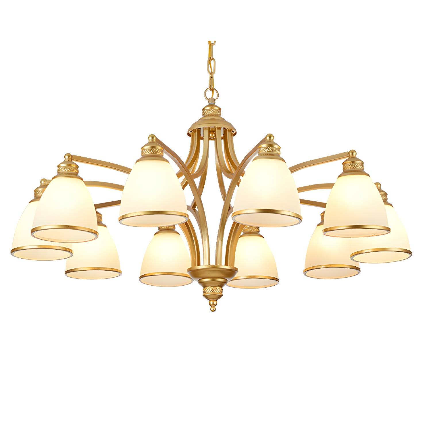 Imported image cc36d610f738 2985005.jpg
