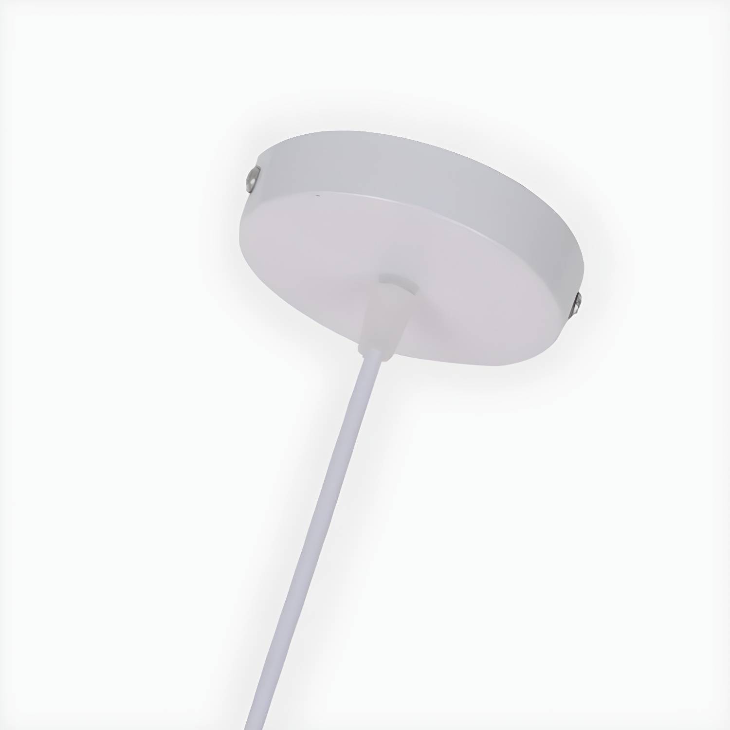 Imported image c8dc6210b424 2985117.jpg