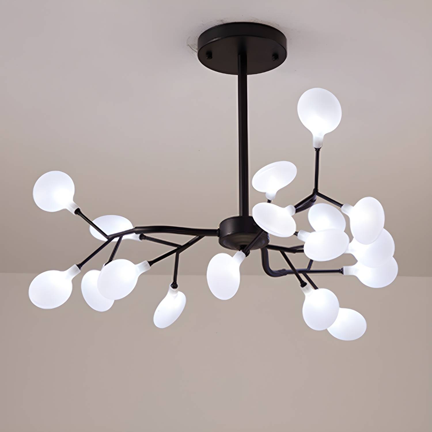 Imported image 78f07dffe5de 2985119.jpg