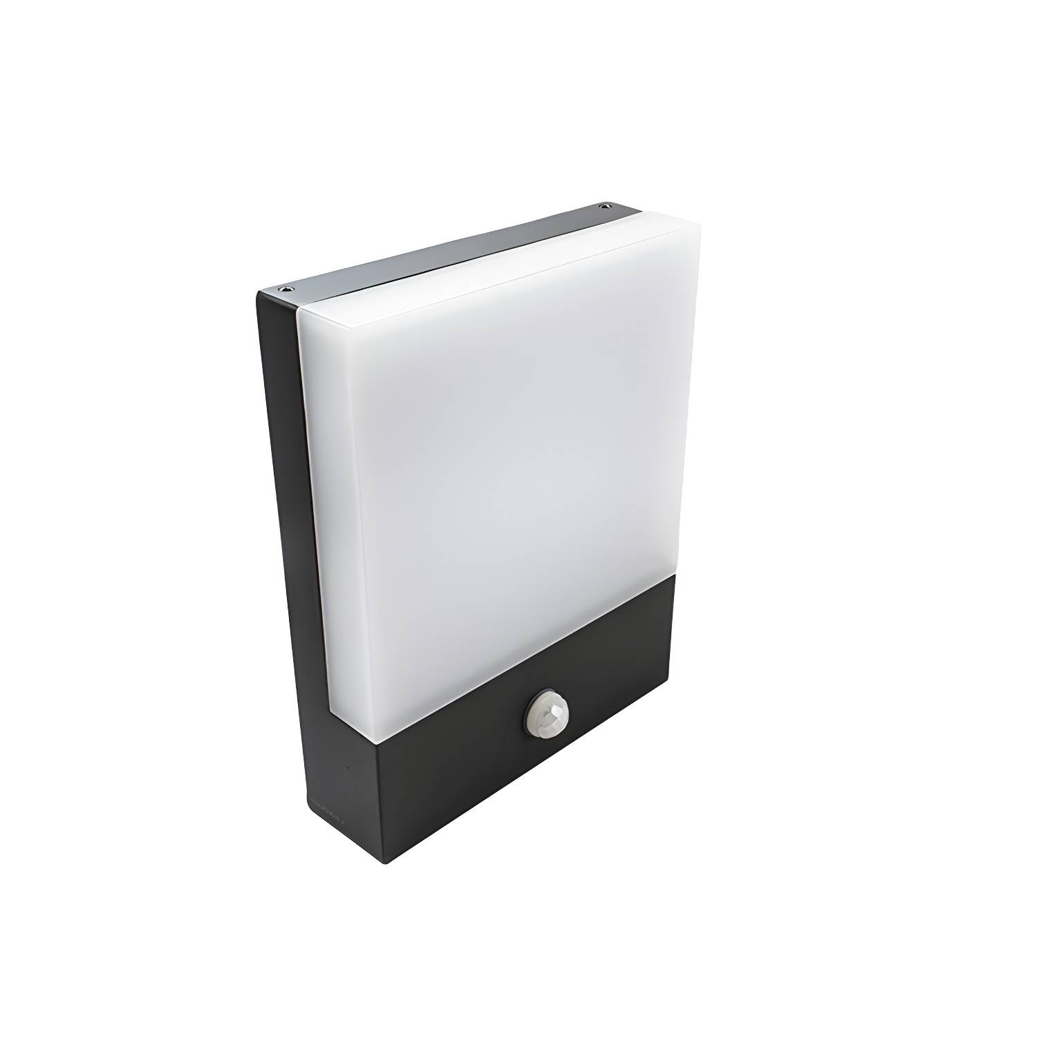 Imported image c403def80bb3 2992904.jpg