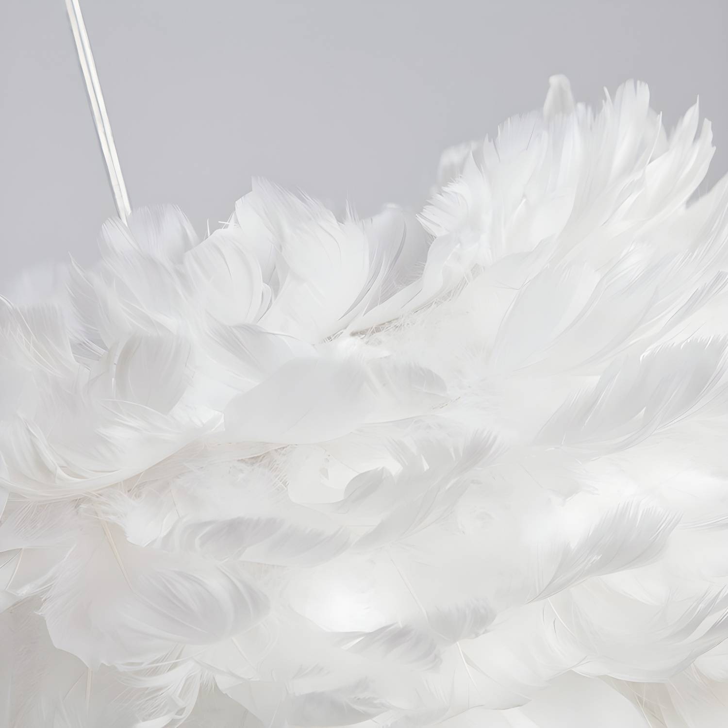 Imported image 43dcbd5b16bc 2993011.jpg