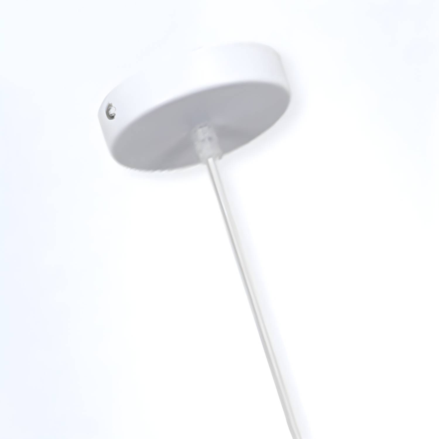 Imported image f560c38eb085 2993017.jpg