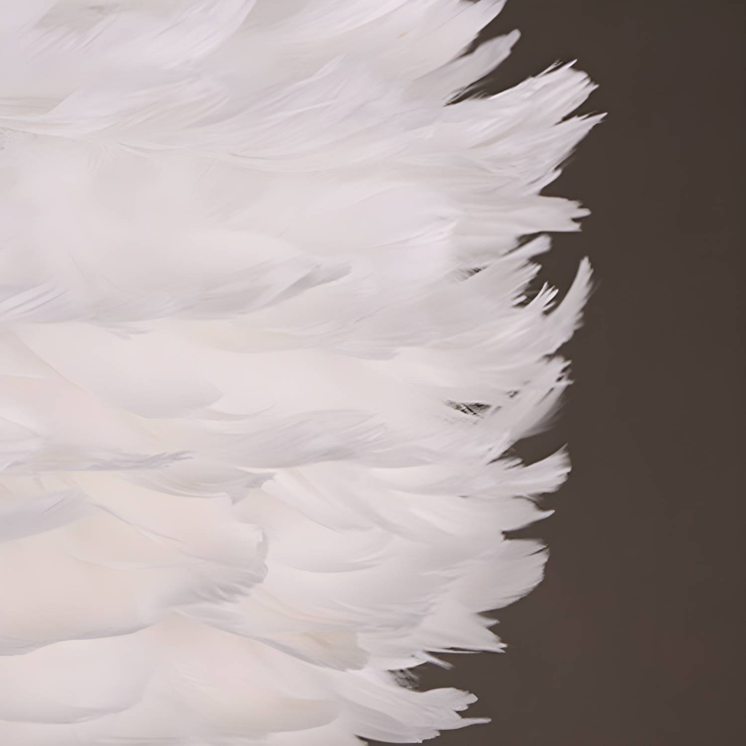 Imported image 625a7cfd2e90 2993018.jpg