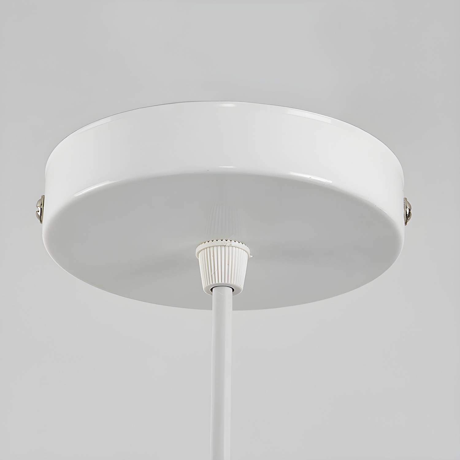 Imported image d9510e356ce7 2993171.jpg