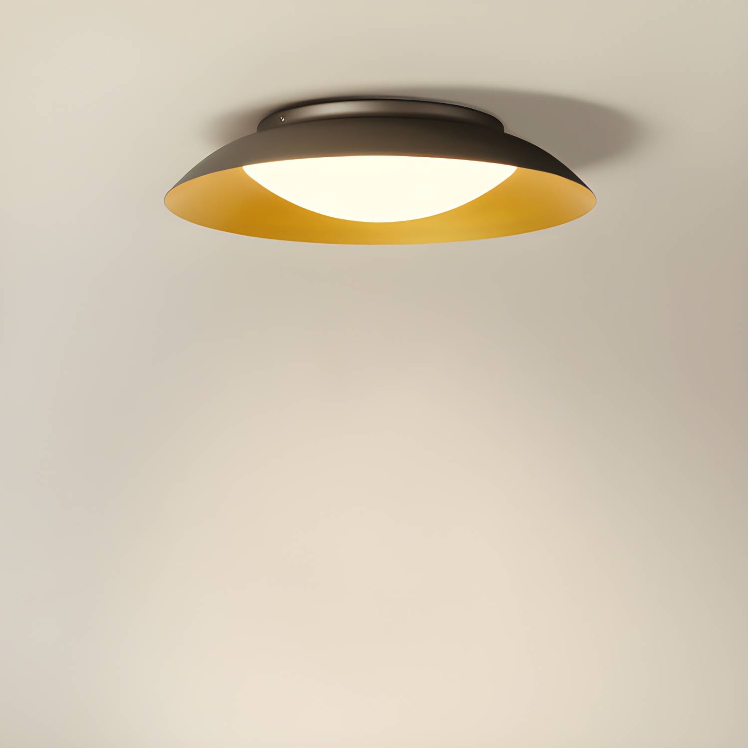 Imported image 691c68fca7ac 3000437.jpg