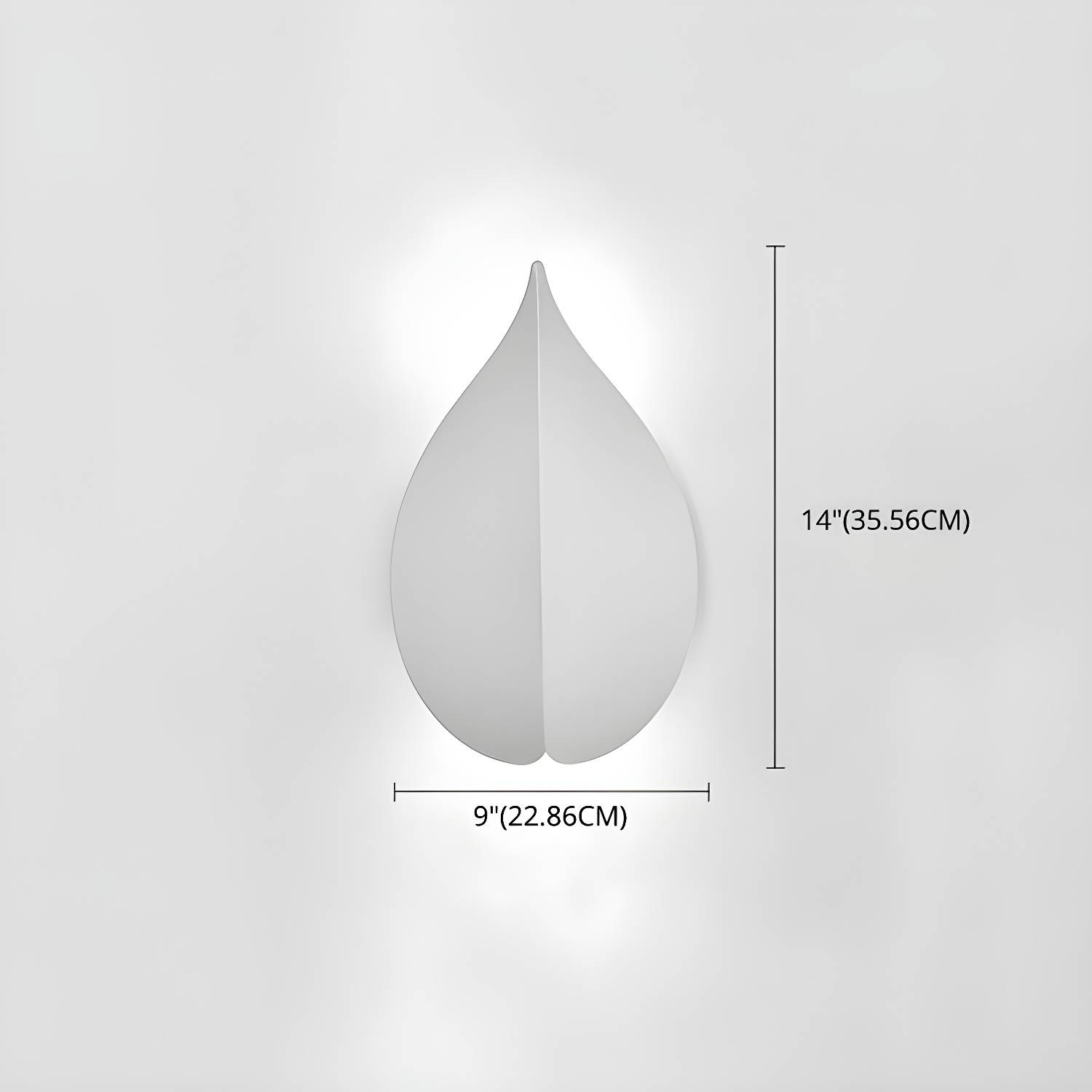 Imported image bb431b0922e2 3000677.jpg