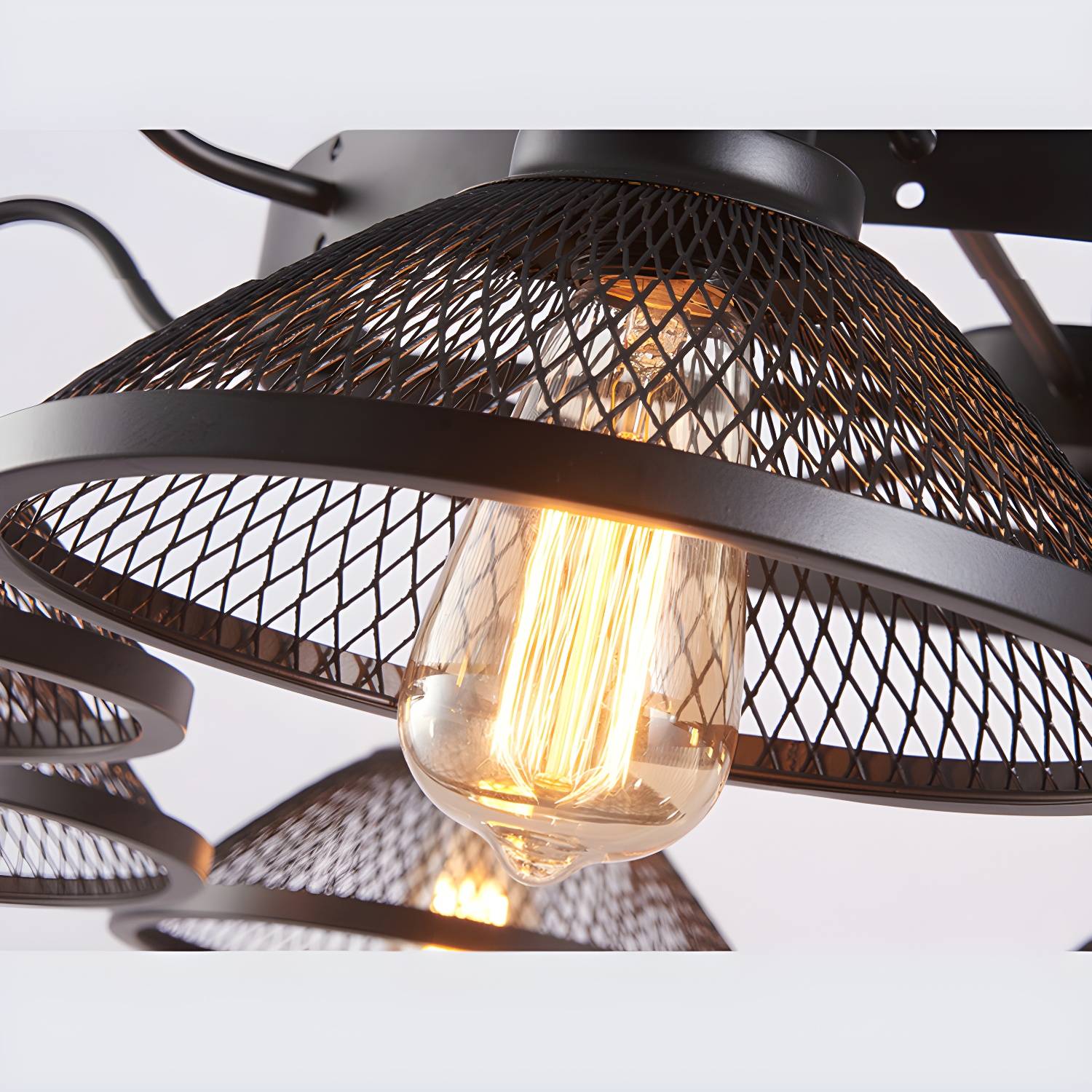Imported image bc153d4c5ceb 3000920.jpg
