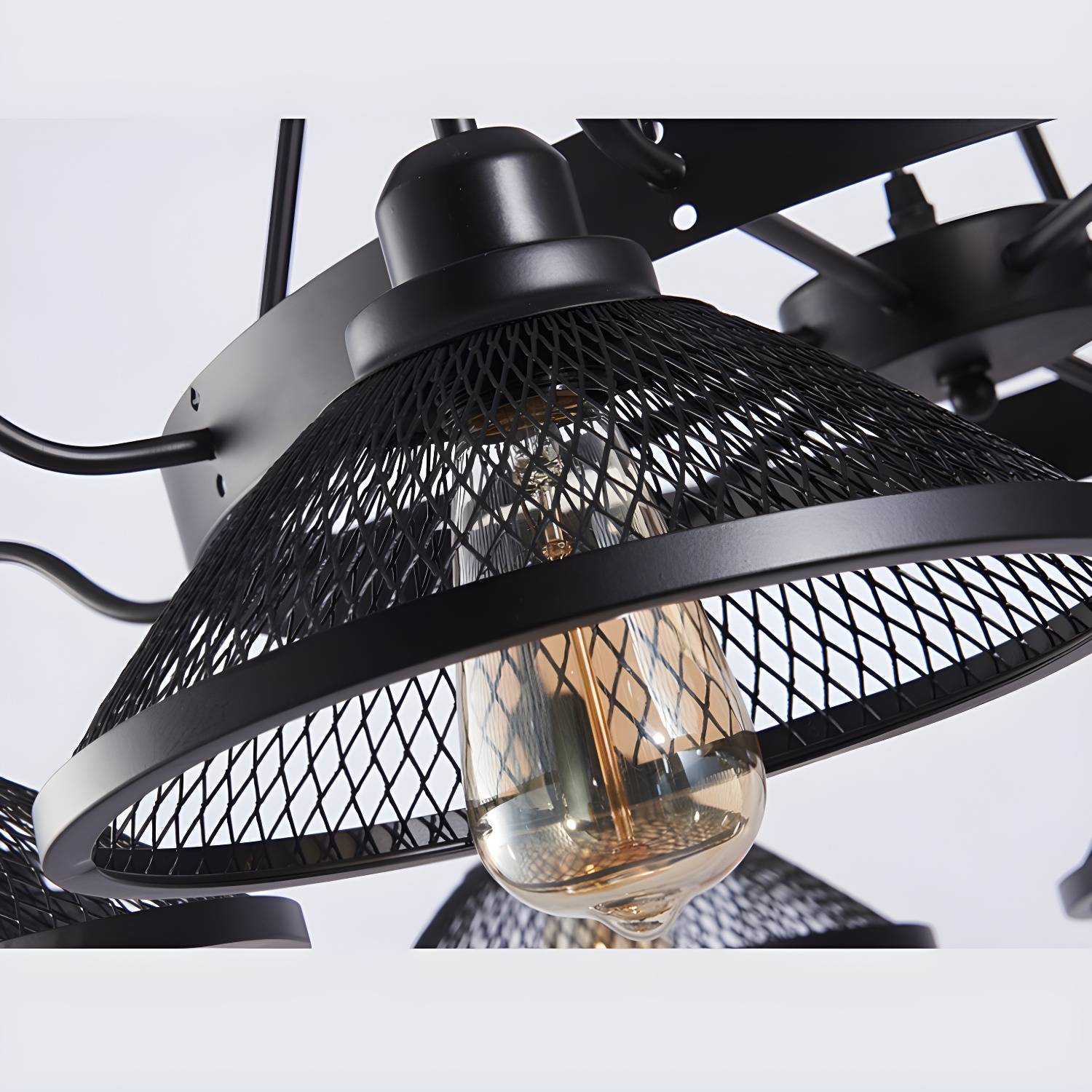 Imported image 38091e7e16c6 3000921.jpg