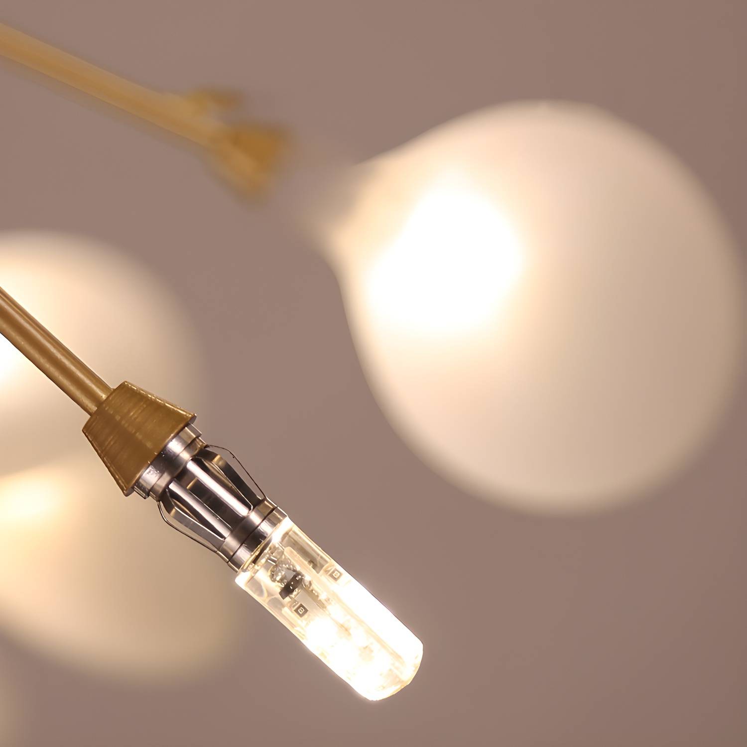 Imported image d20fcea68385 3001345.jpg