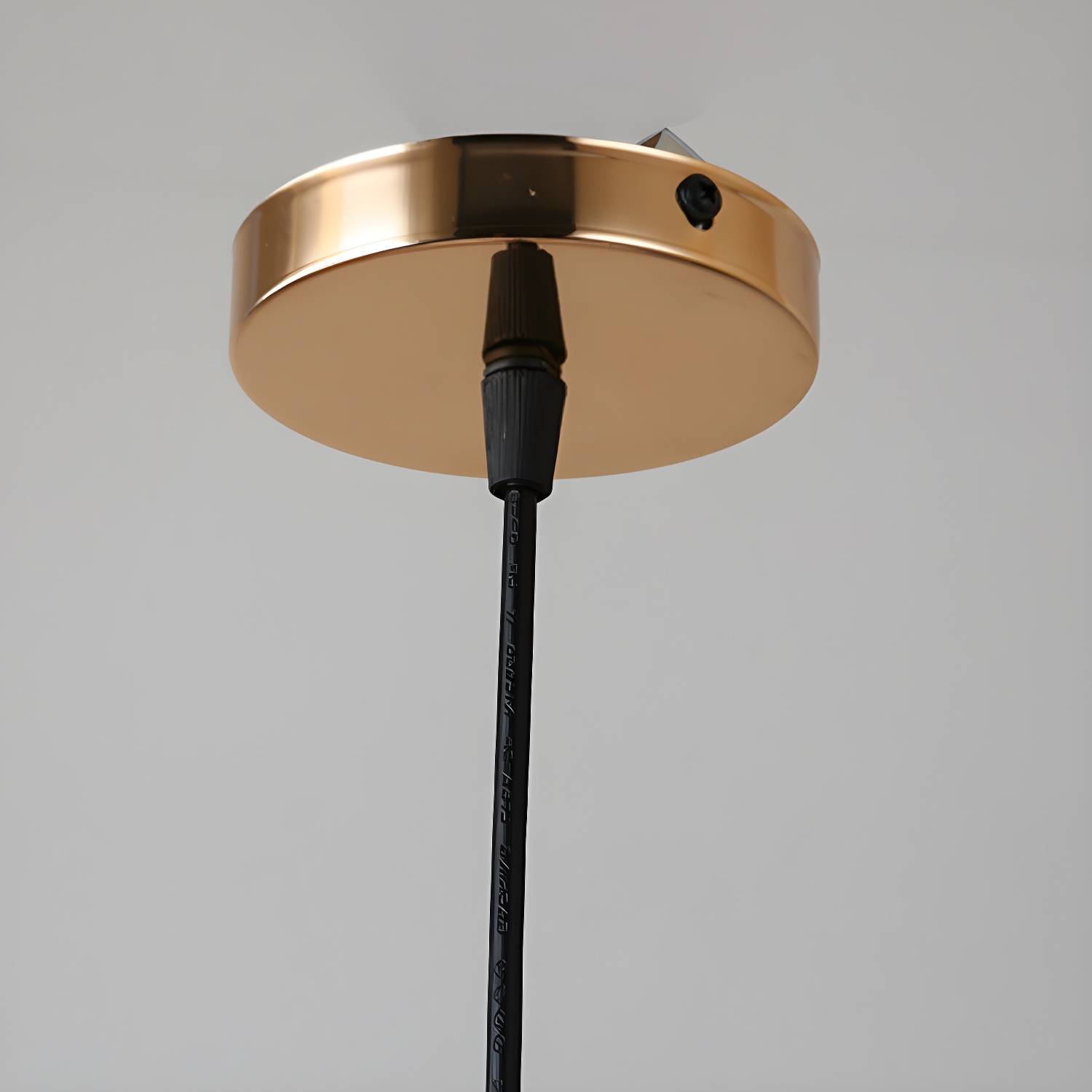 Imported image 9abf13d47591 3017283.jpg