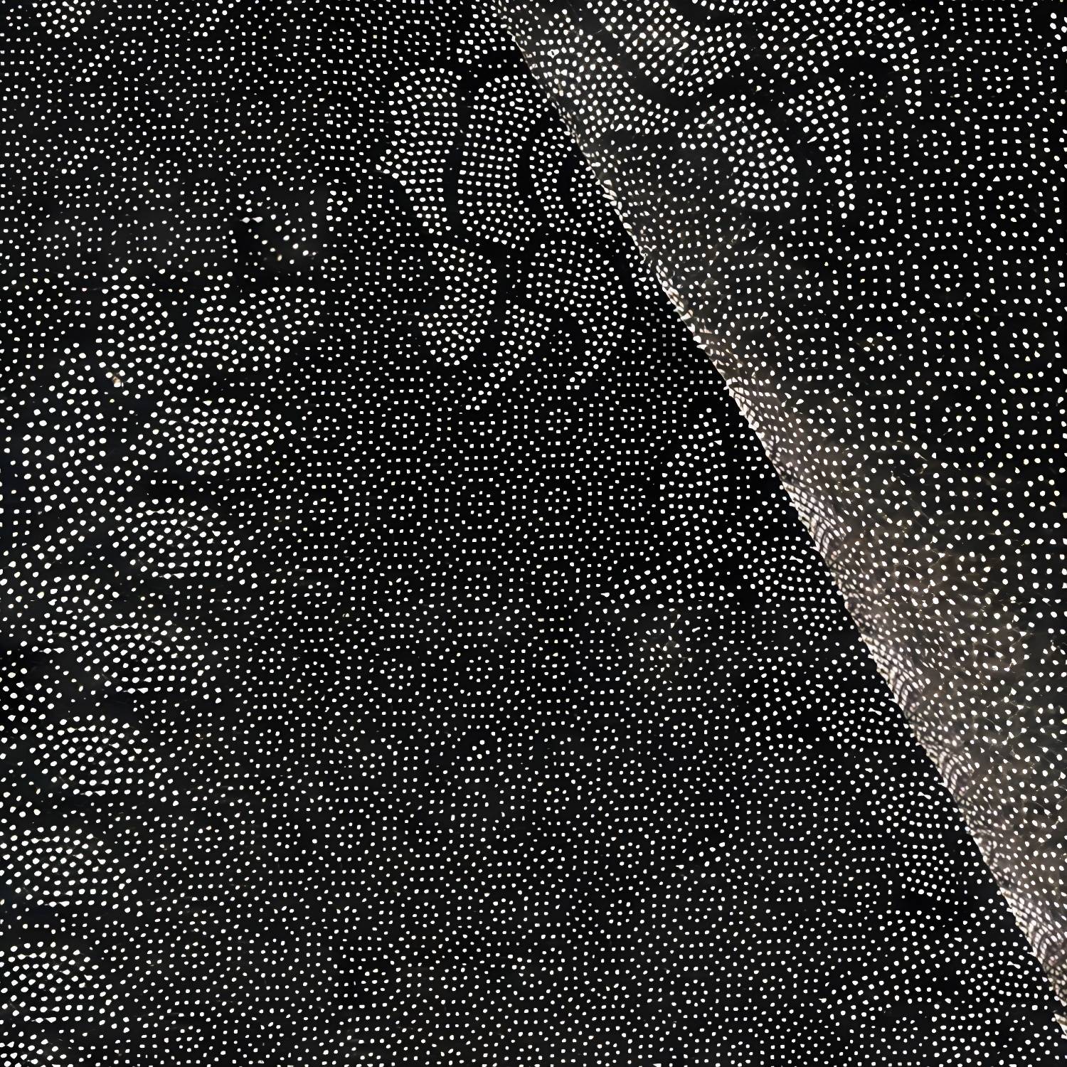Imported image 8509b7f78a98 3019593.jpg