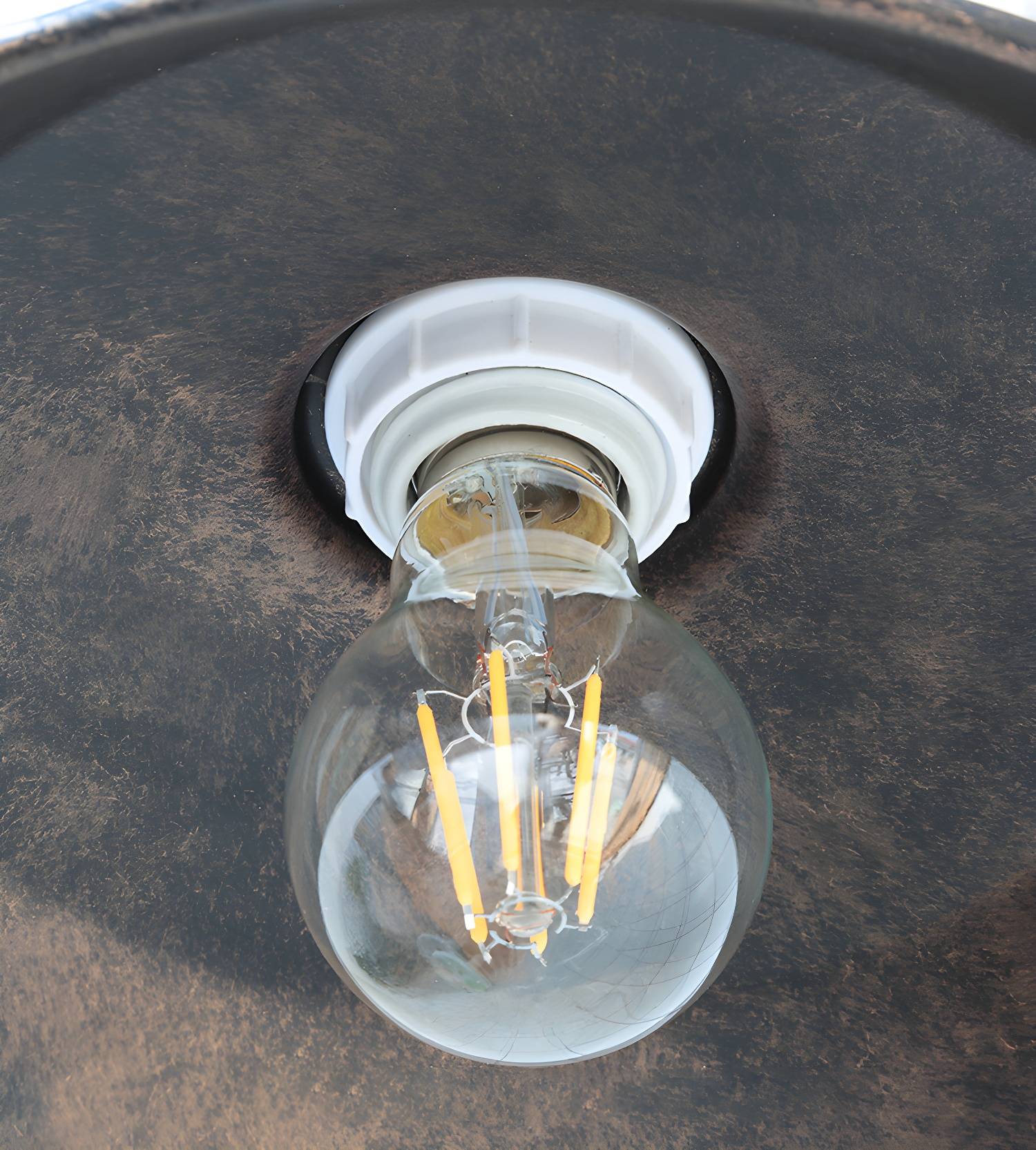Imported image e8237647a9b1 3020961.jpg