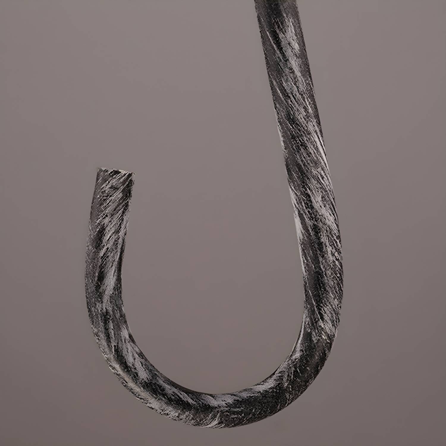 Imported image b1eecbe77b57 3021088.jpg