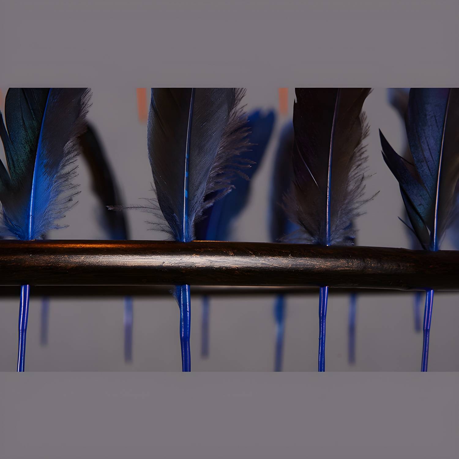 Imported image f0061169482e 3021130.jpg