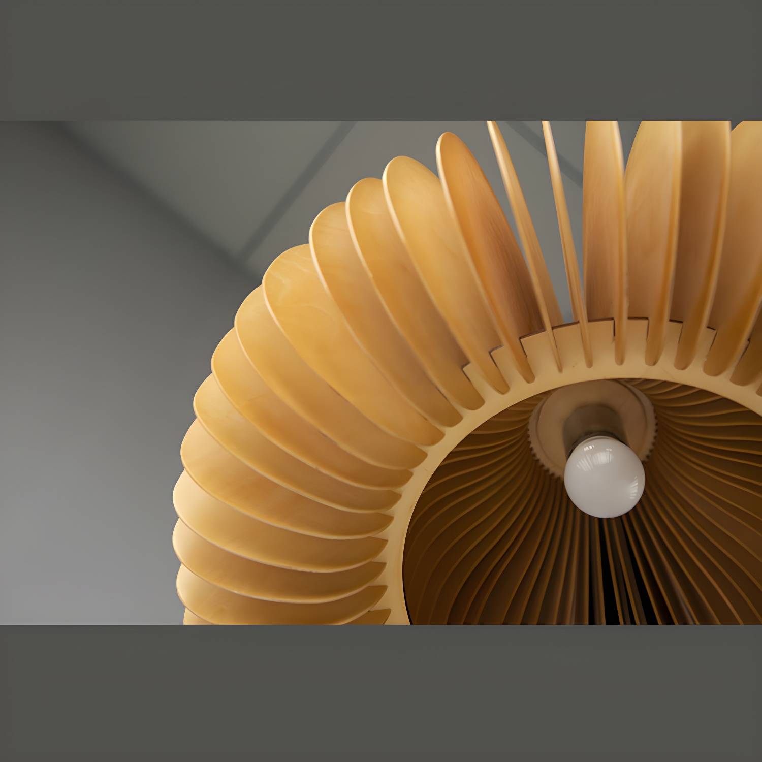 Imported image a1f56181e07b 3021458.jpg