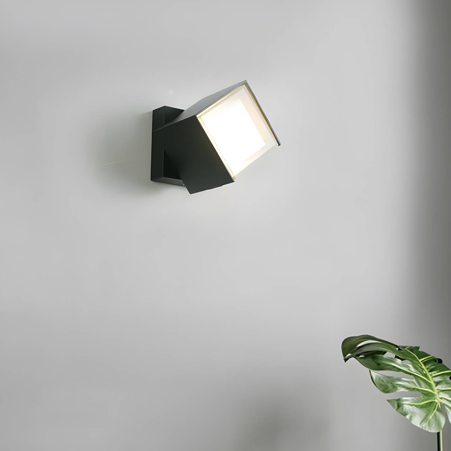 Imported image a2c76eb7db52 3022041.jpg